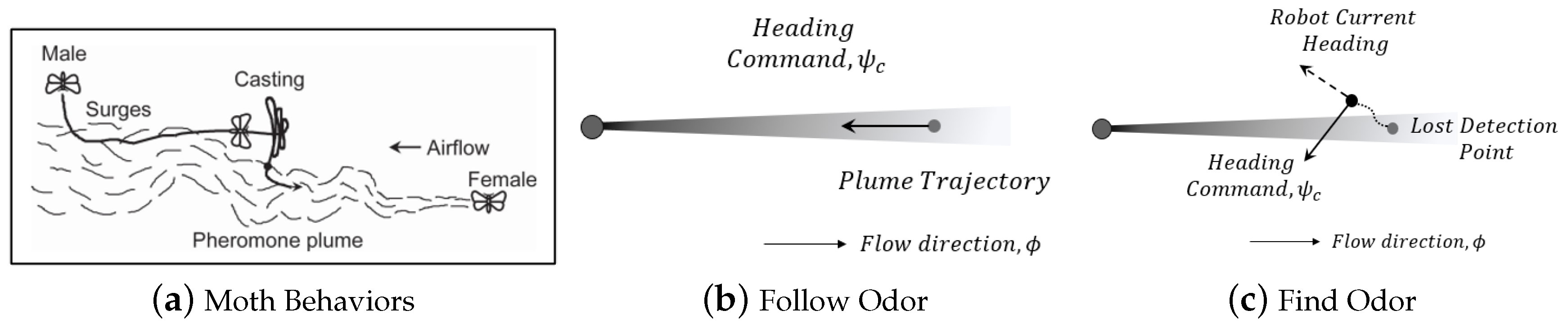 Preprints 121703 g005