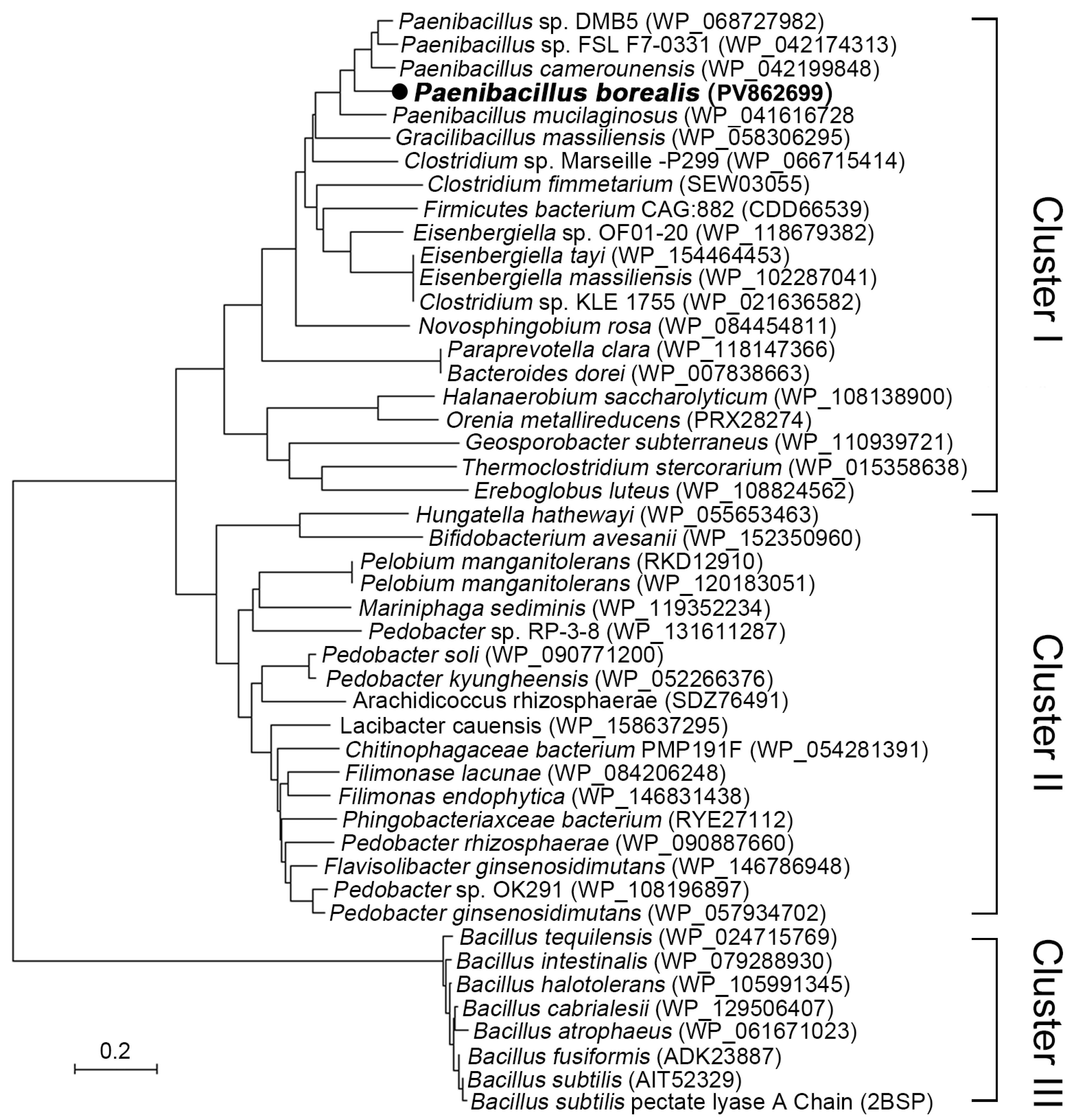 Preprints 169316 g001