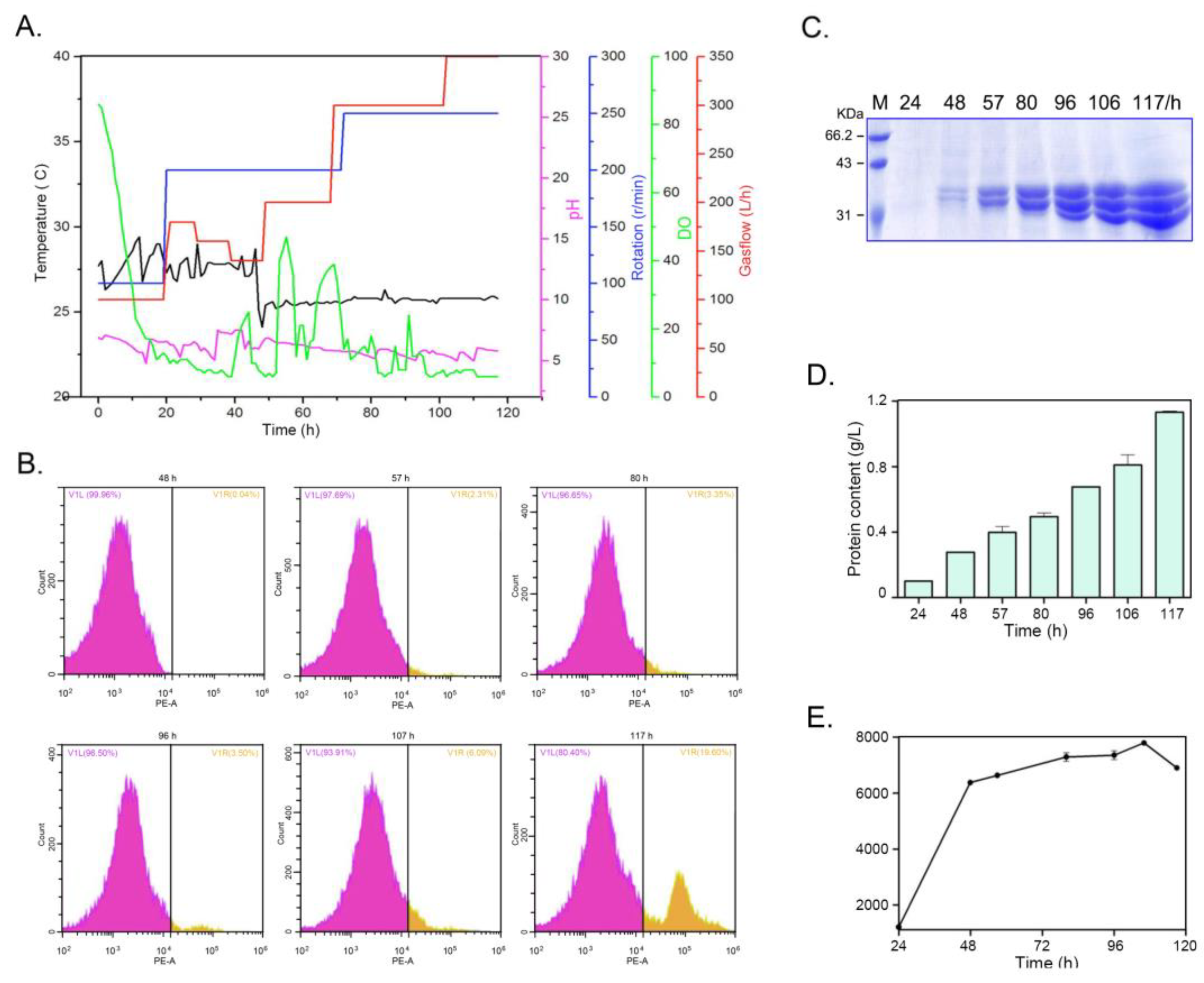 Preprints 169316 g008