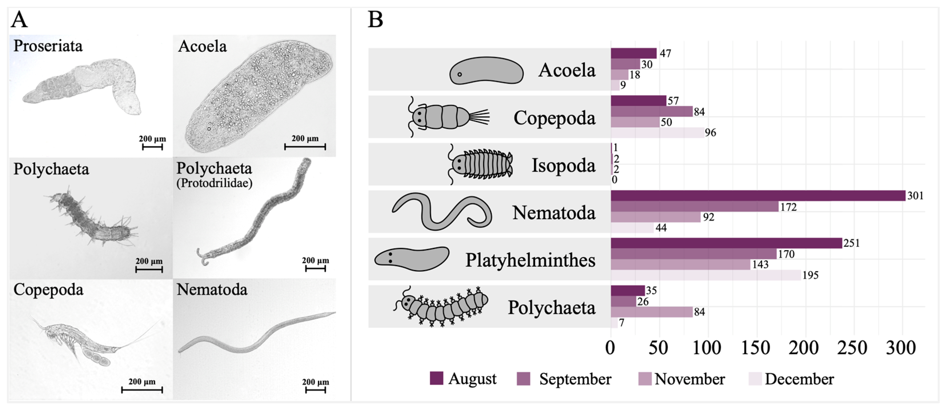 Preprints 144133 g003