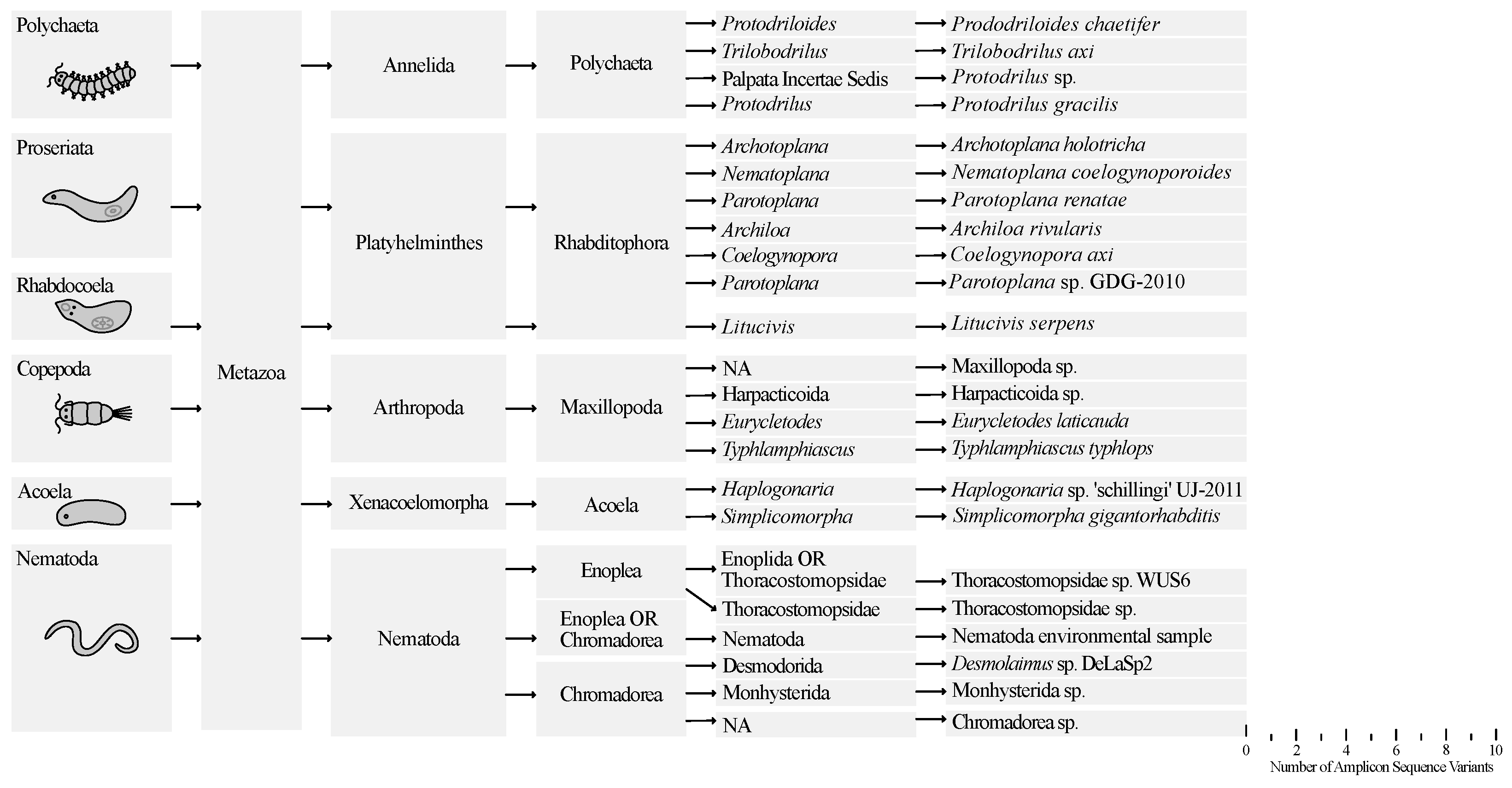 Preprints 144133 g004