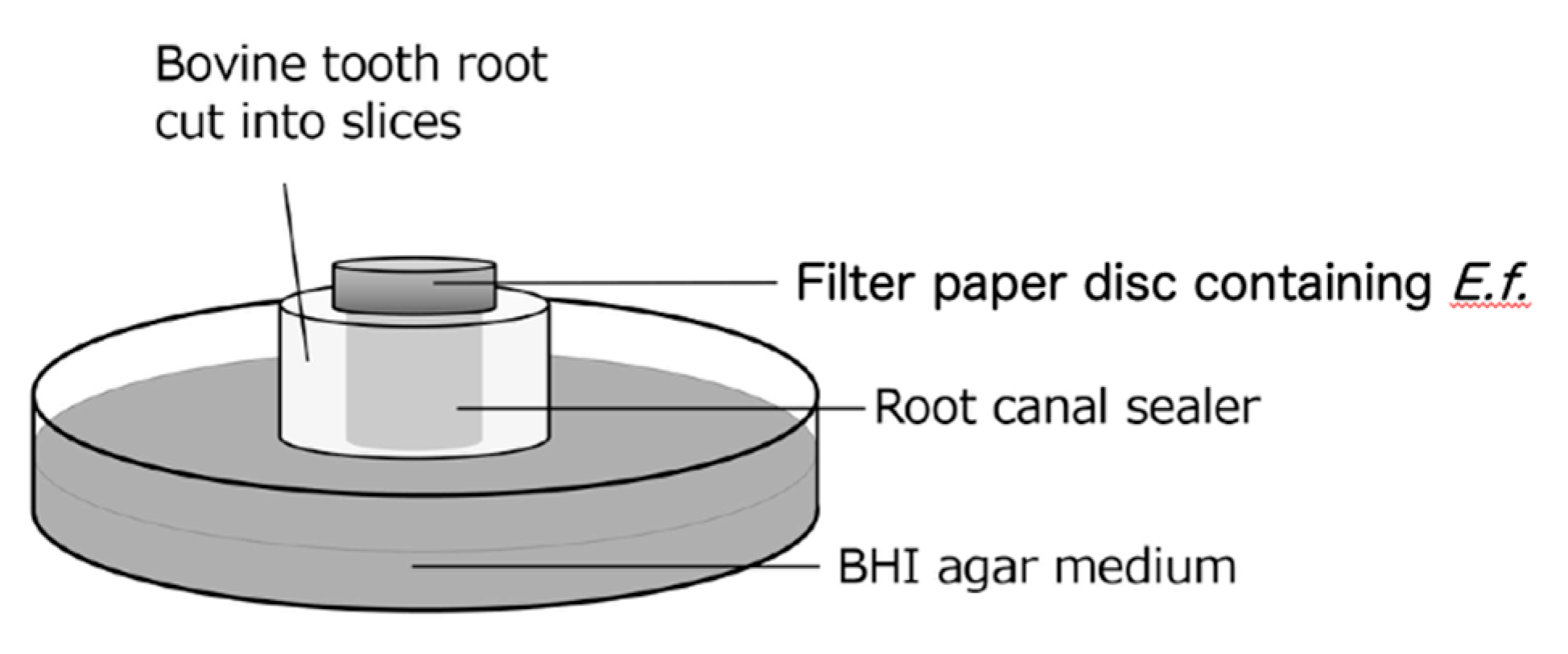 Preprints 187181 g001