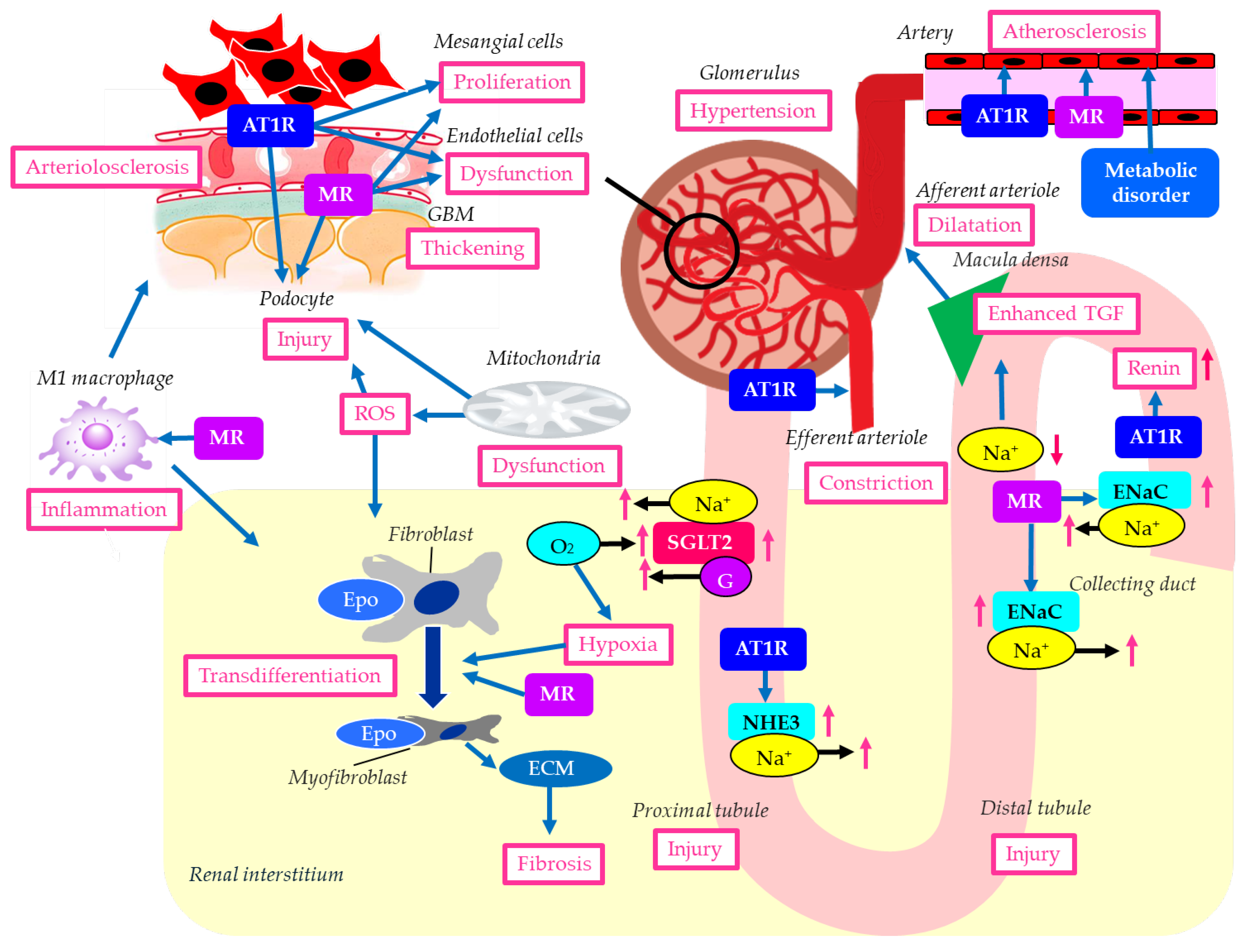Preprints 199187 g001