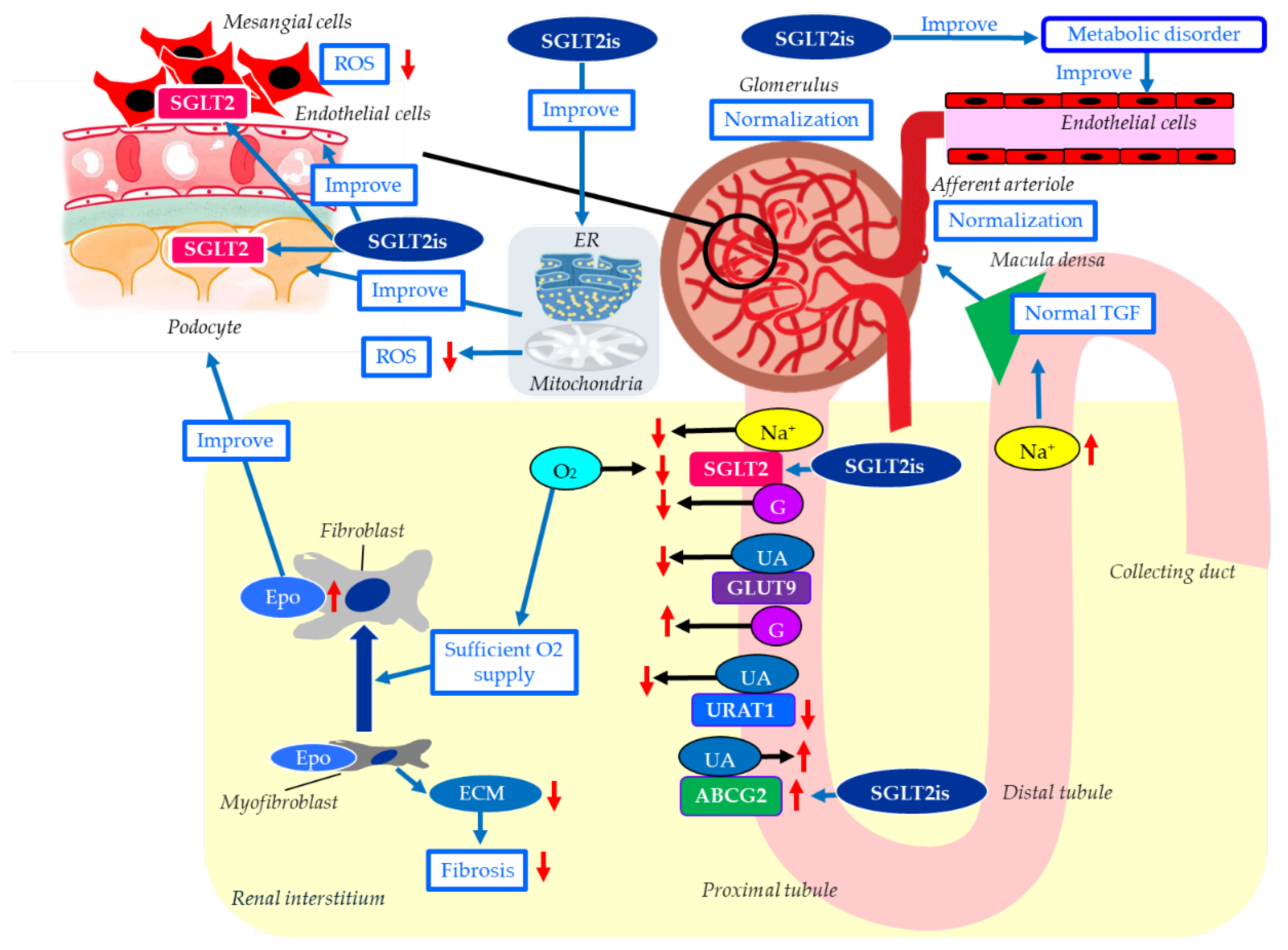 Preprints 199187 g002