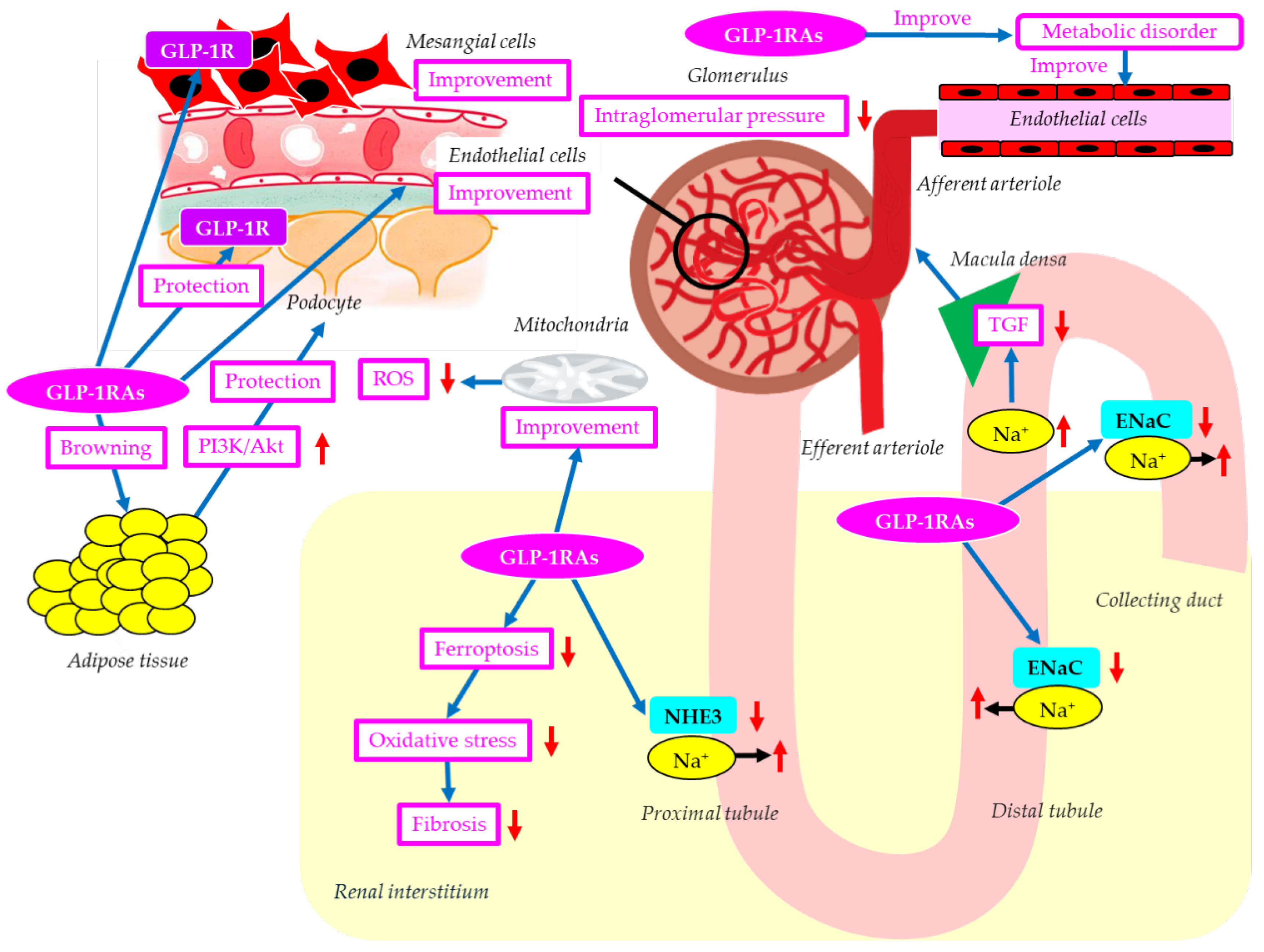 Preprints 199187 g003