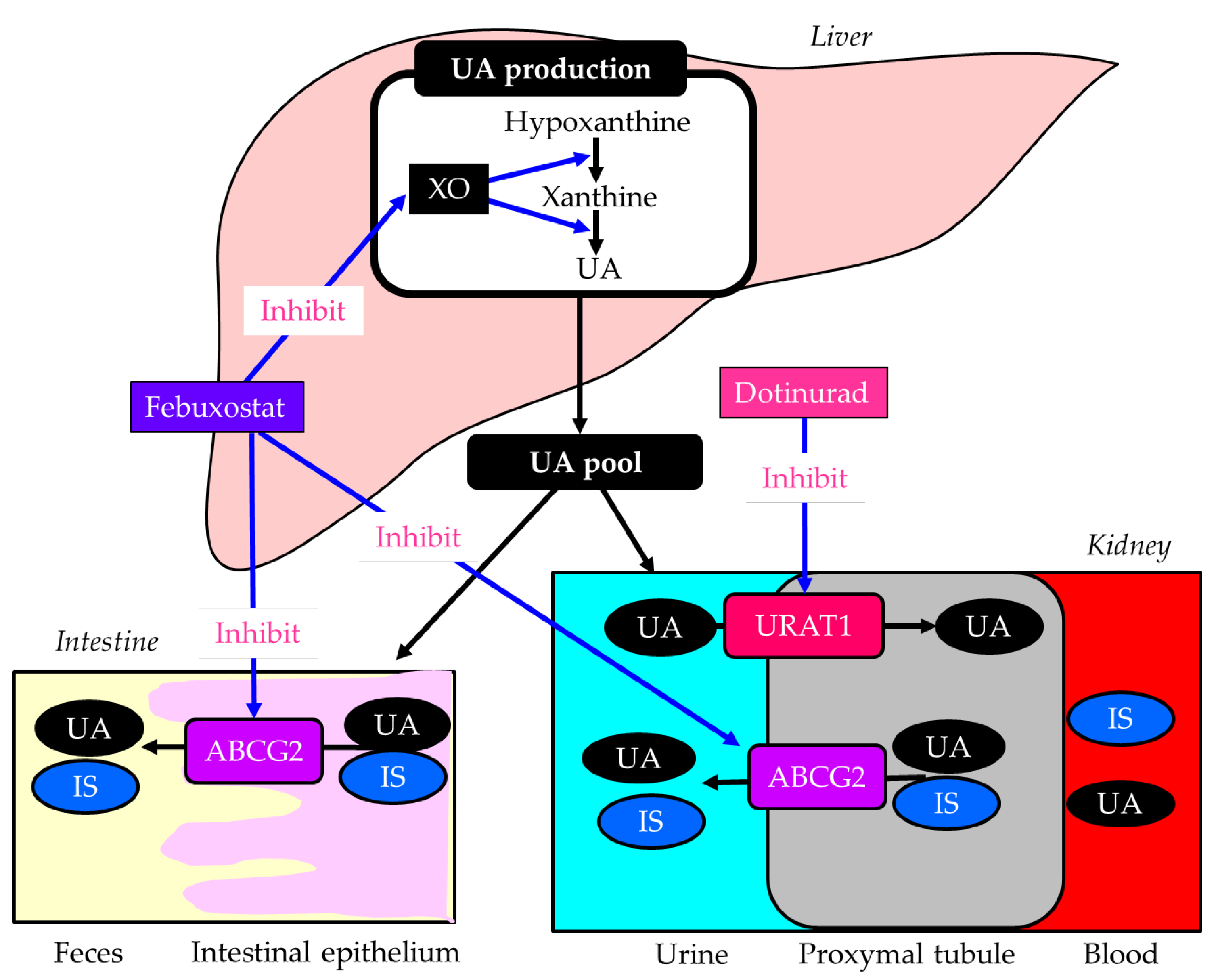 Preprints 199187 g004