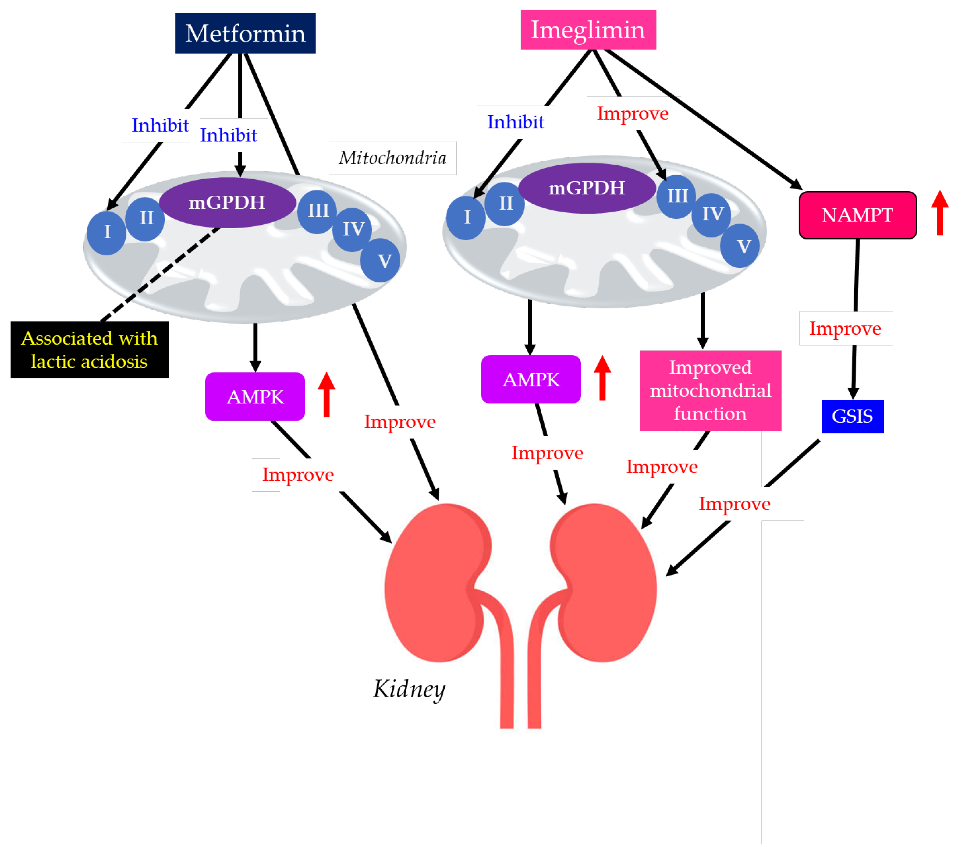 Preprints 199187 g005