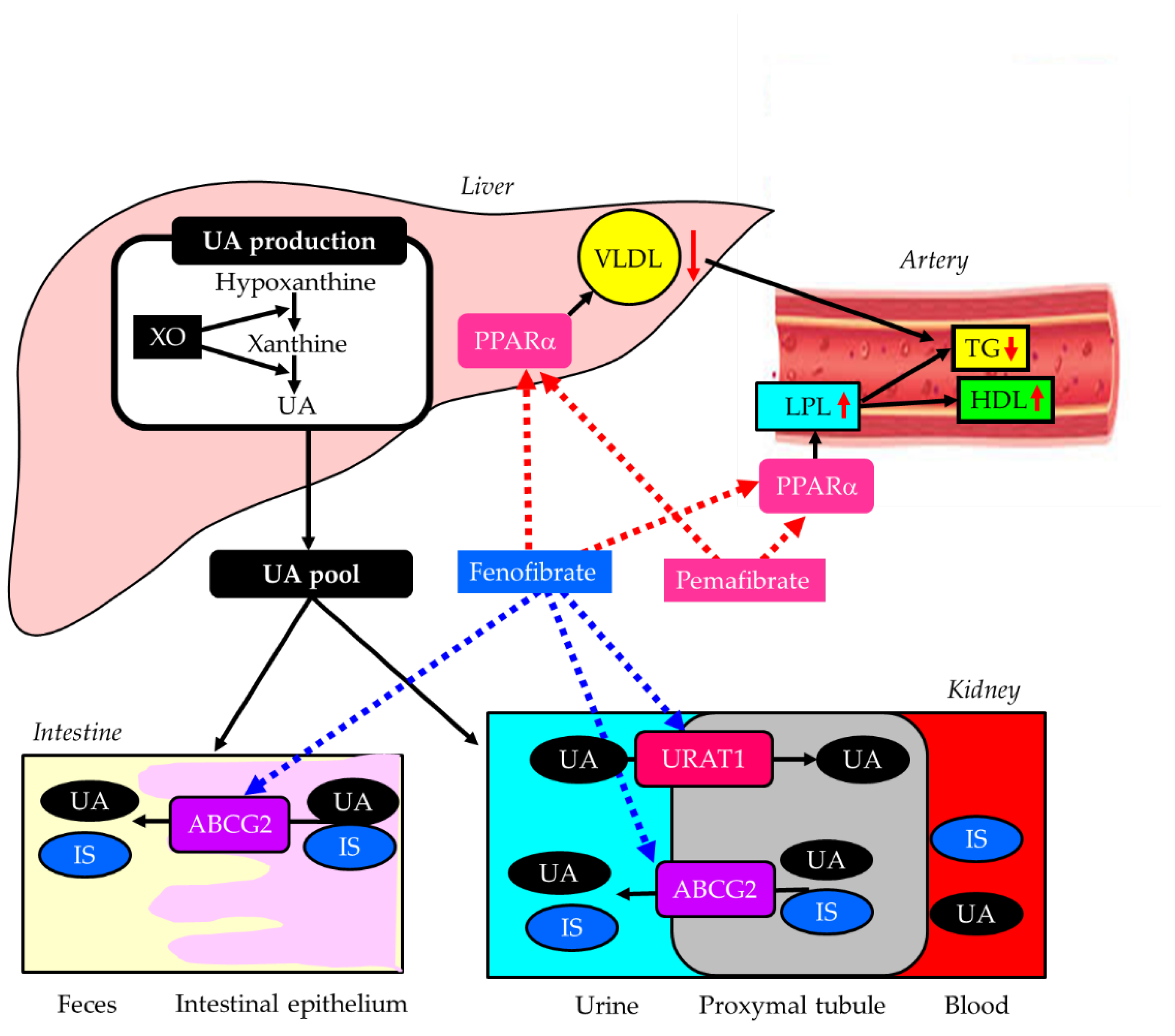 Preprints 199187 g006