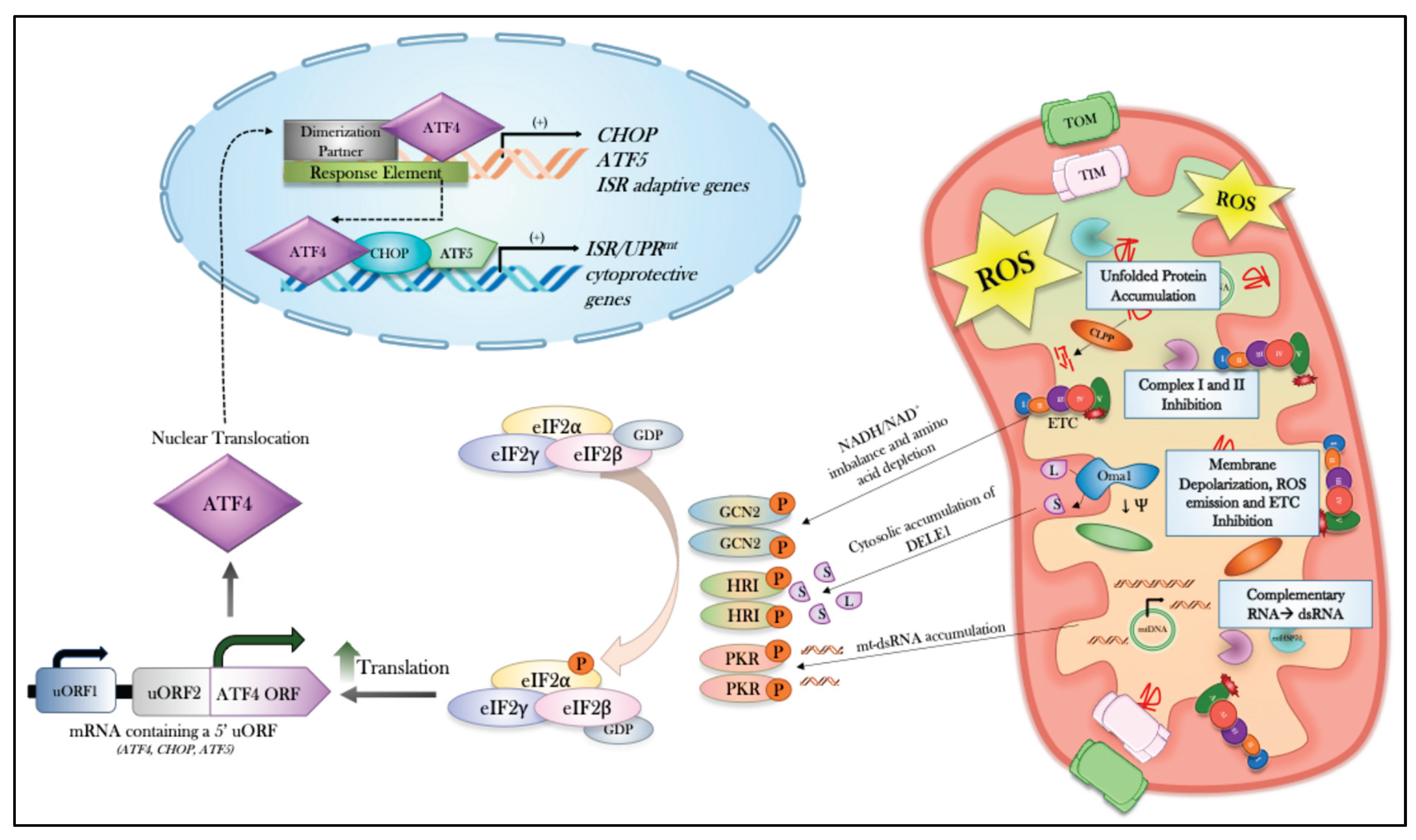 Preprints 206601 g001