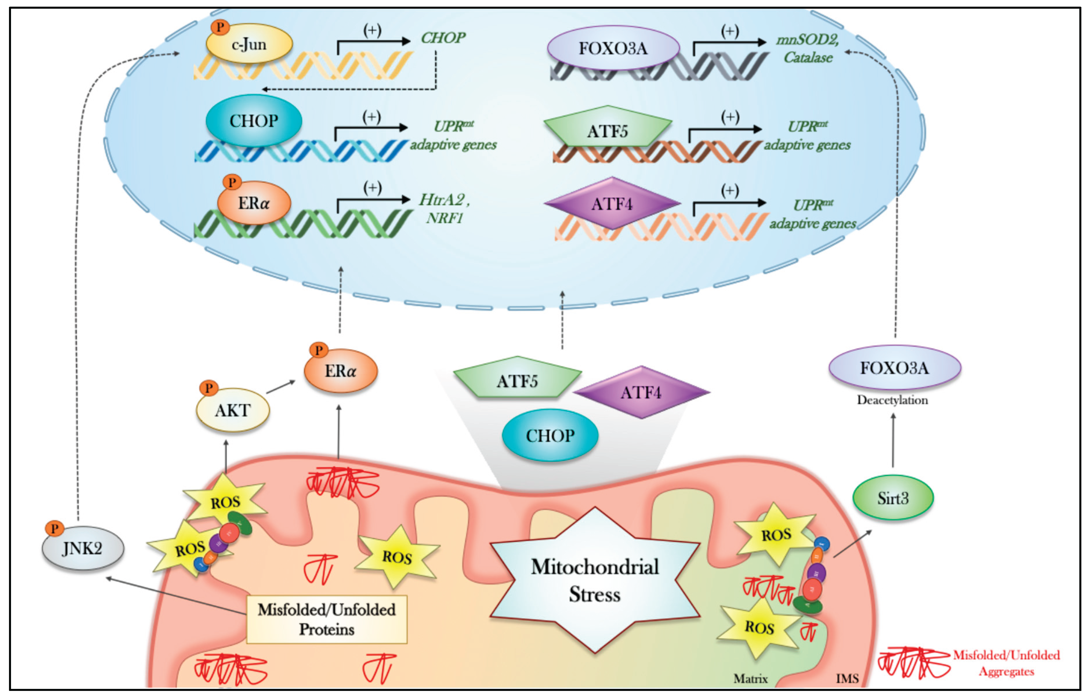 Preprints 206601 g002