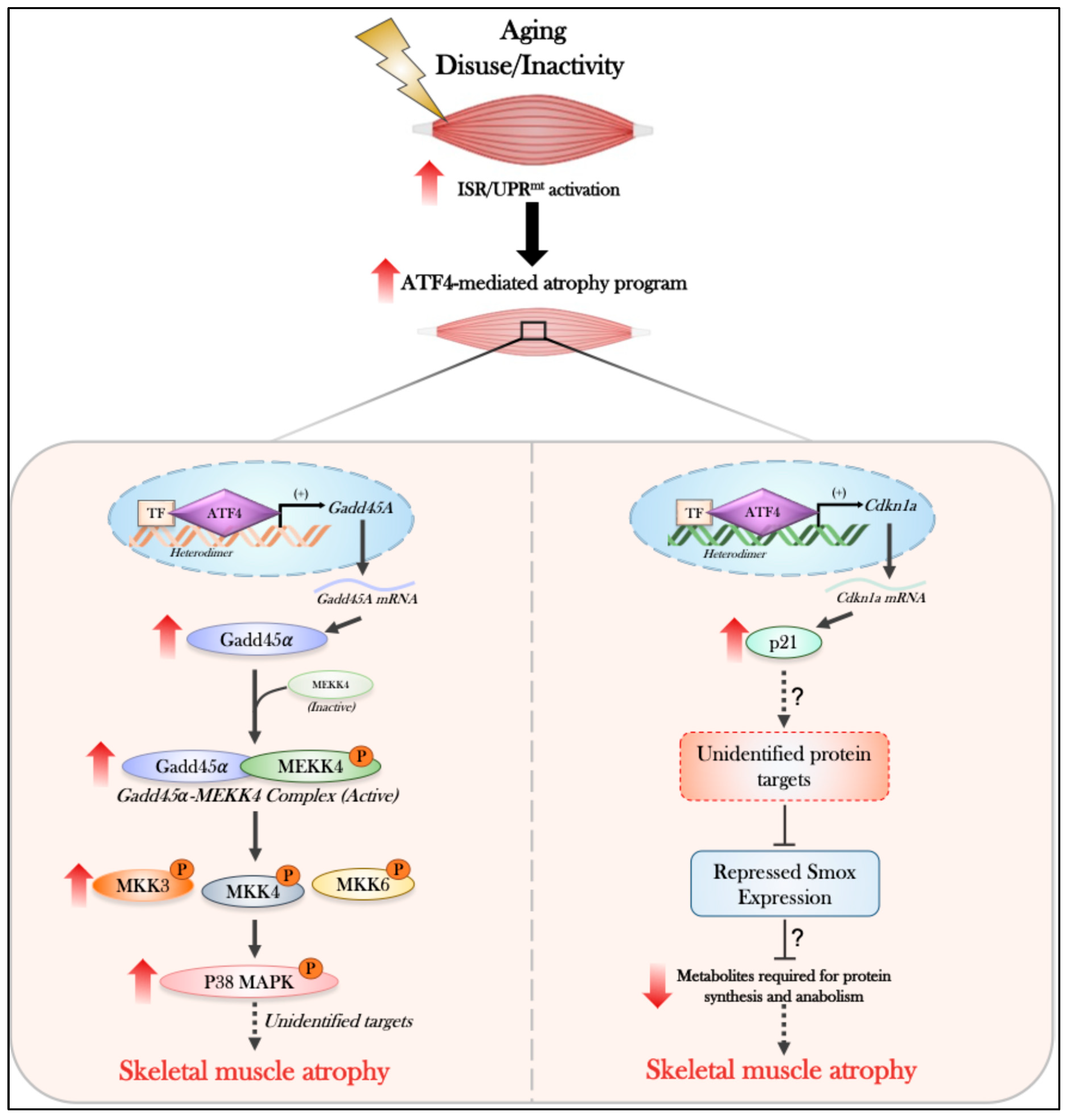 Preprints 206601 g003