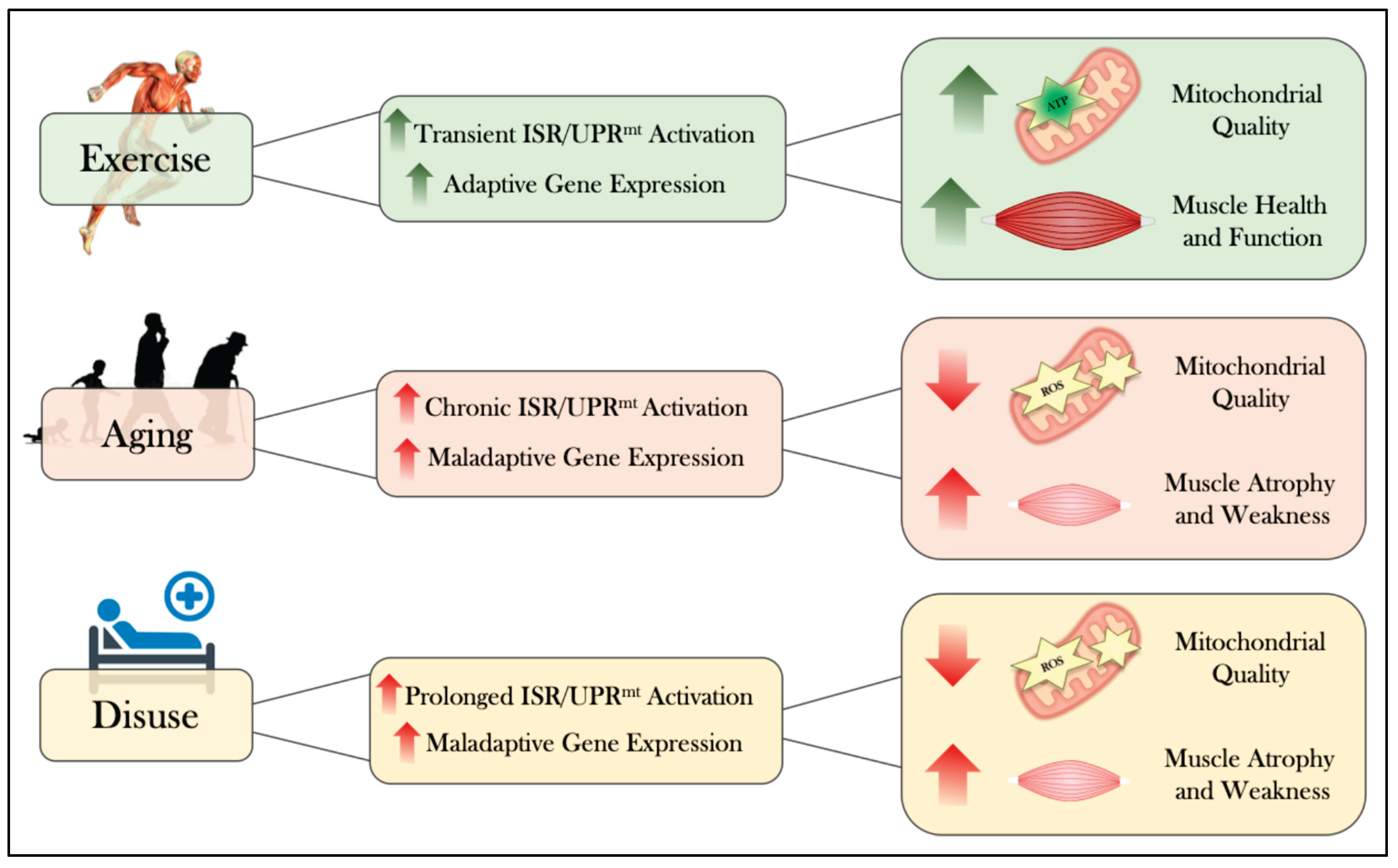 Preprints 206601 g004