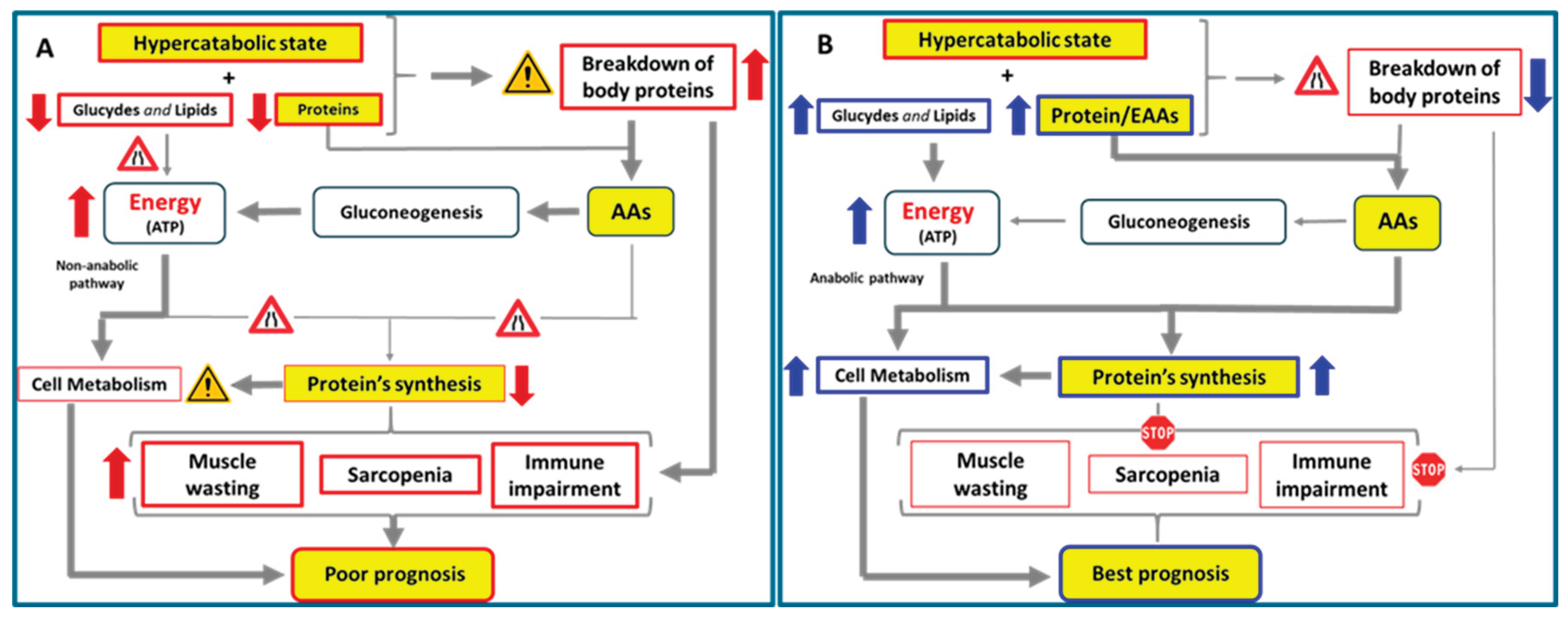 Preprints 208339 g002
