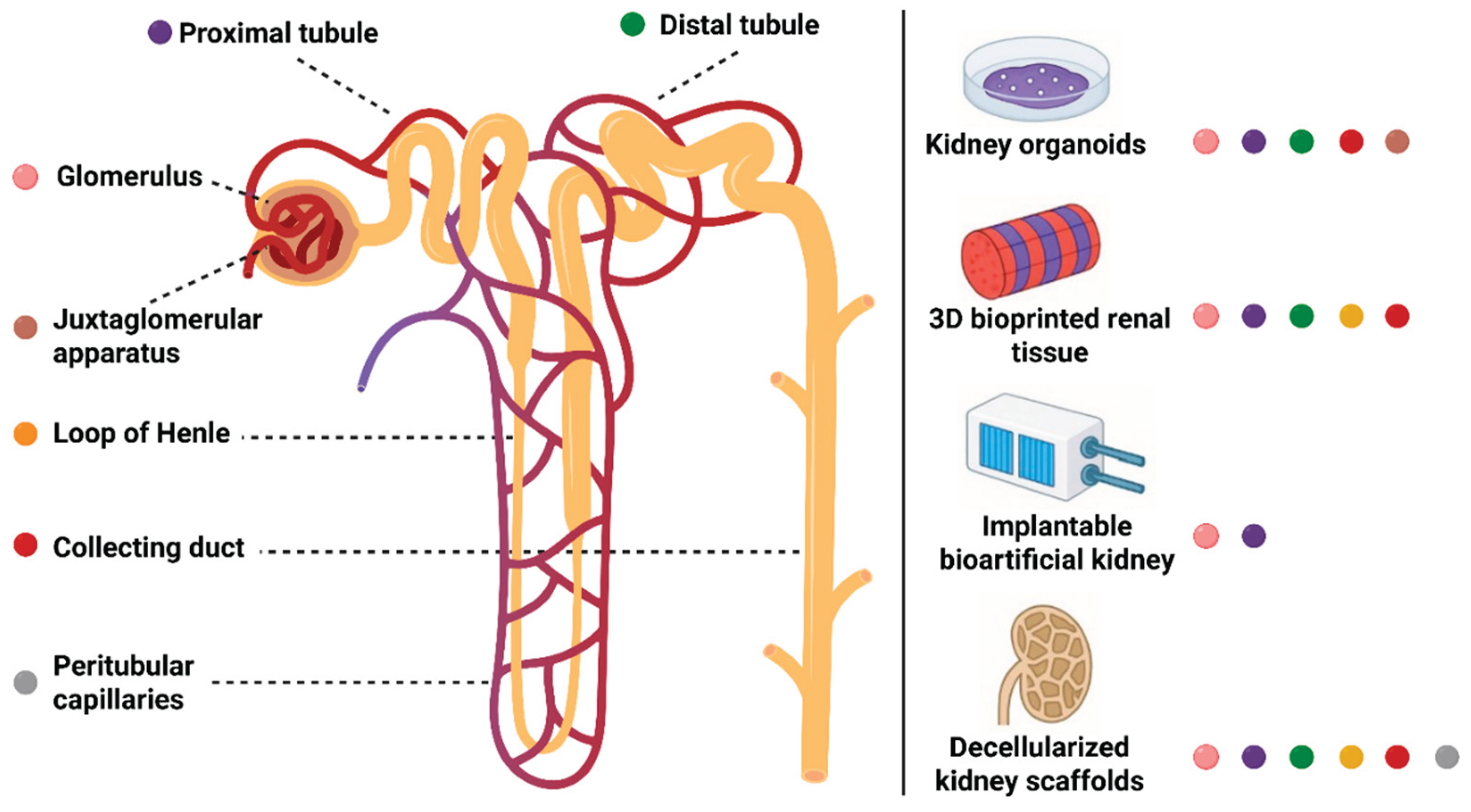 Preprints 169687 g001