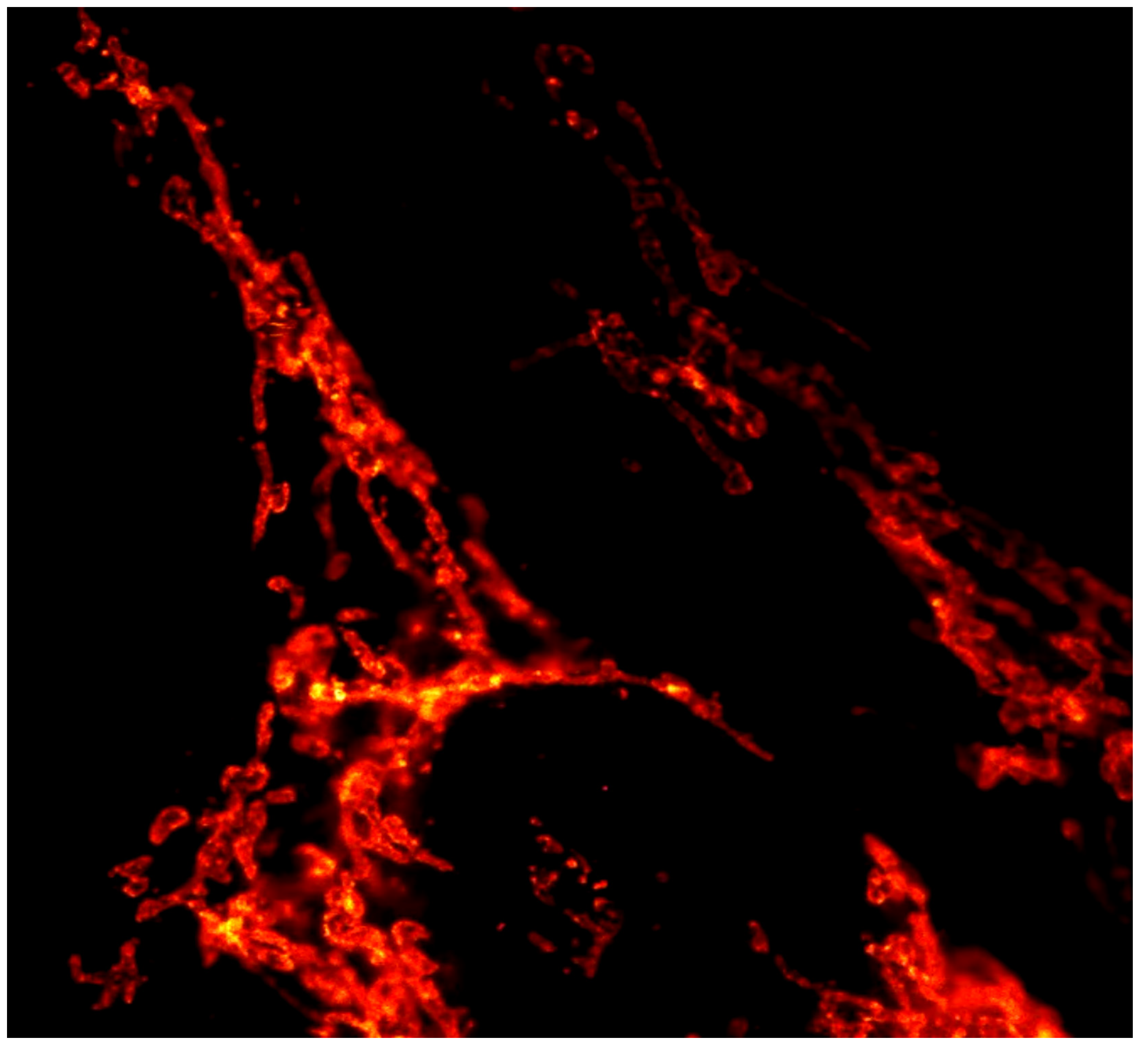 Preprints 198916 g005