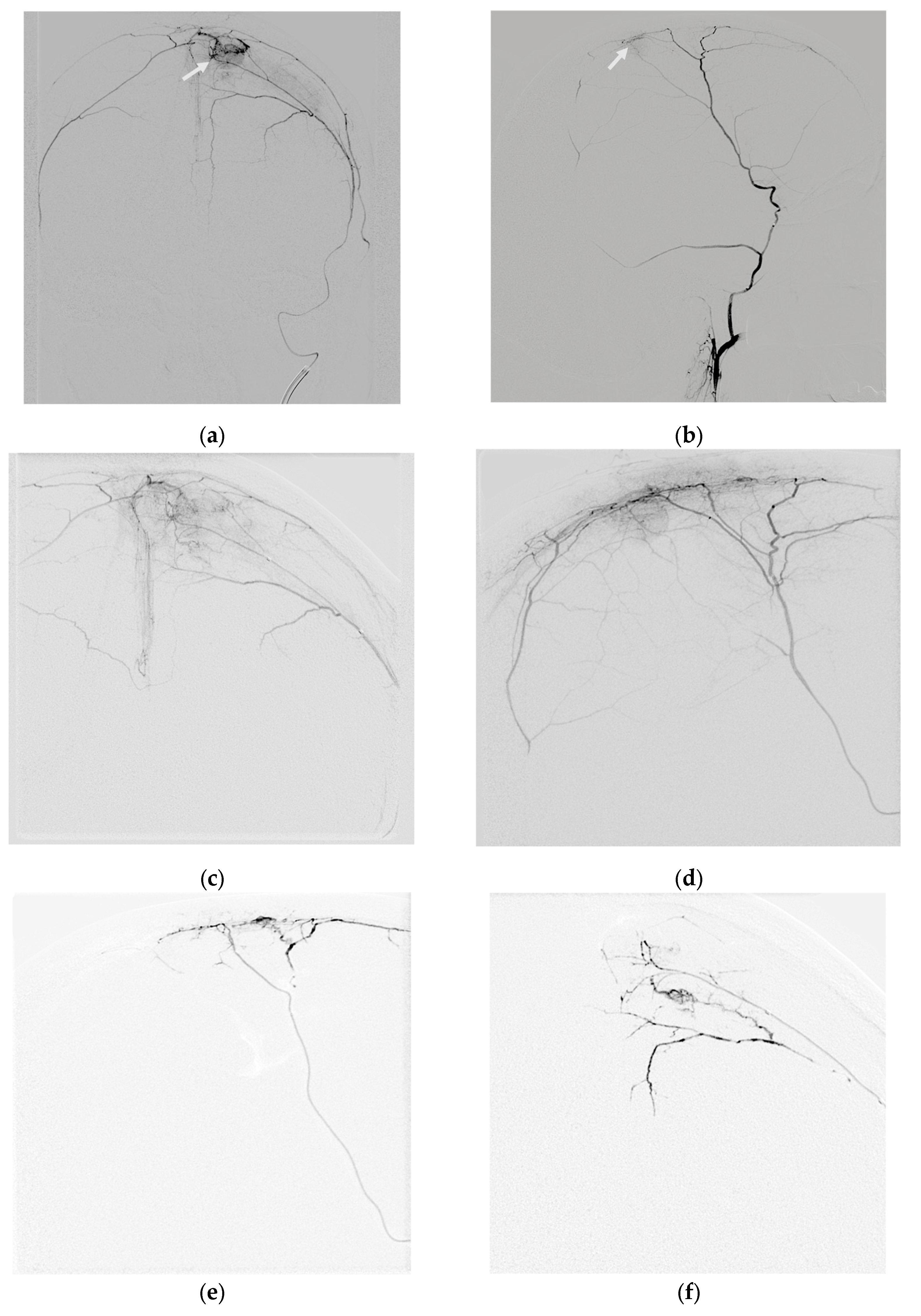 Preprints 122048 g002a