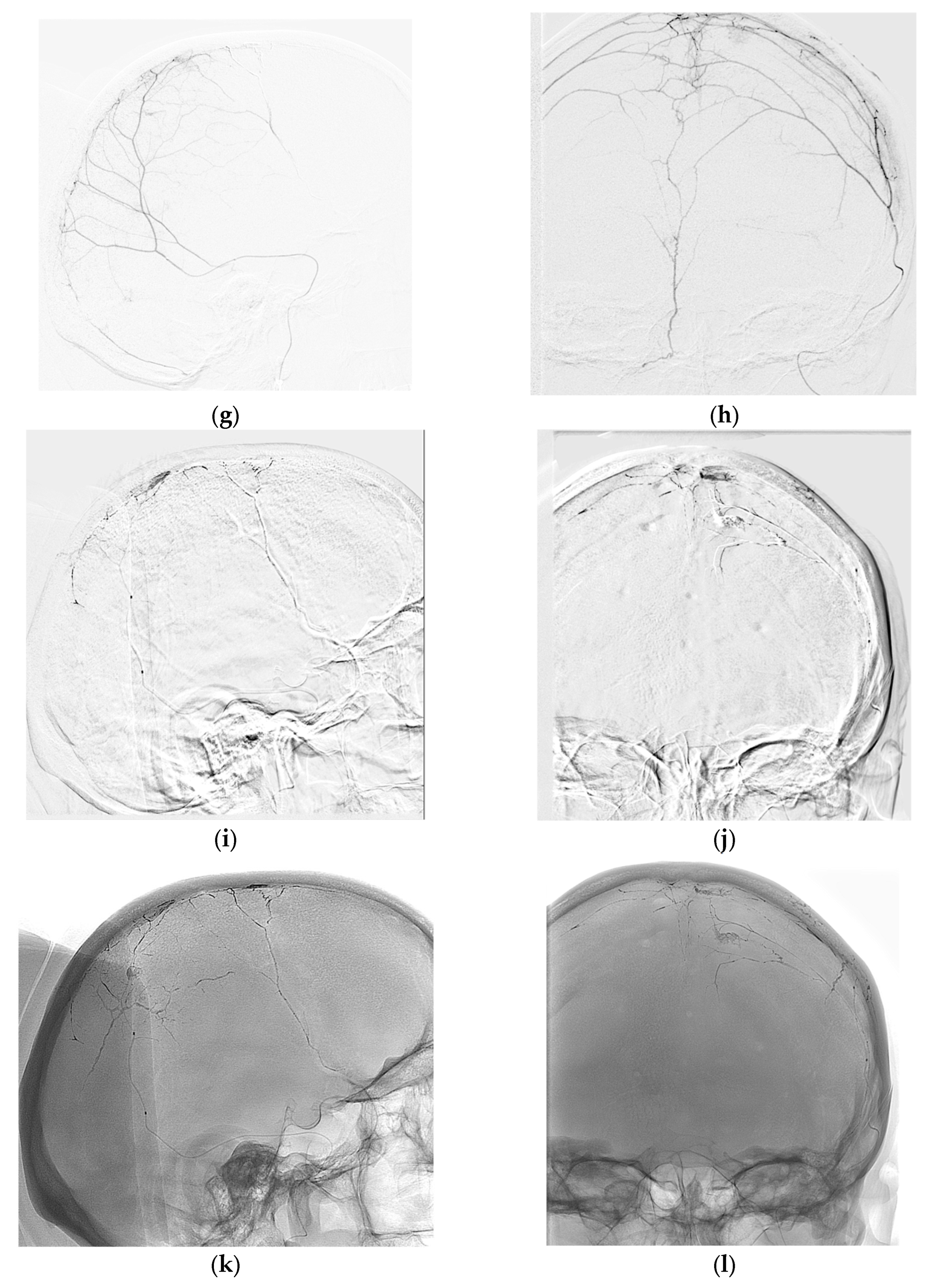 Preprints 122048 g002b