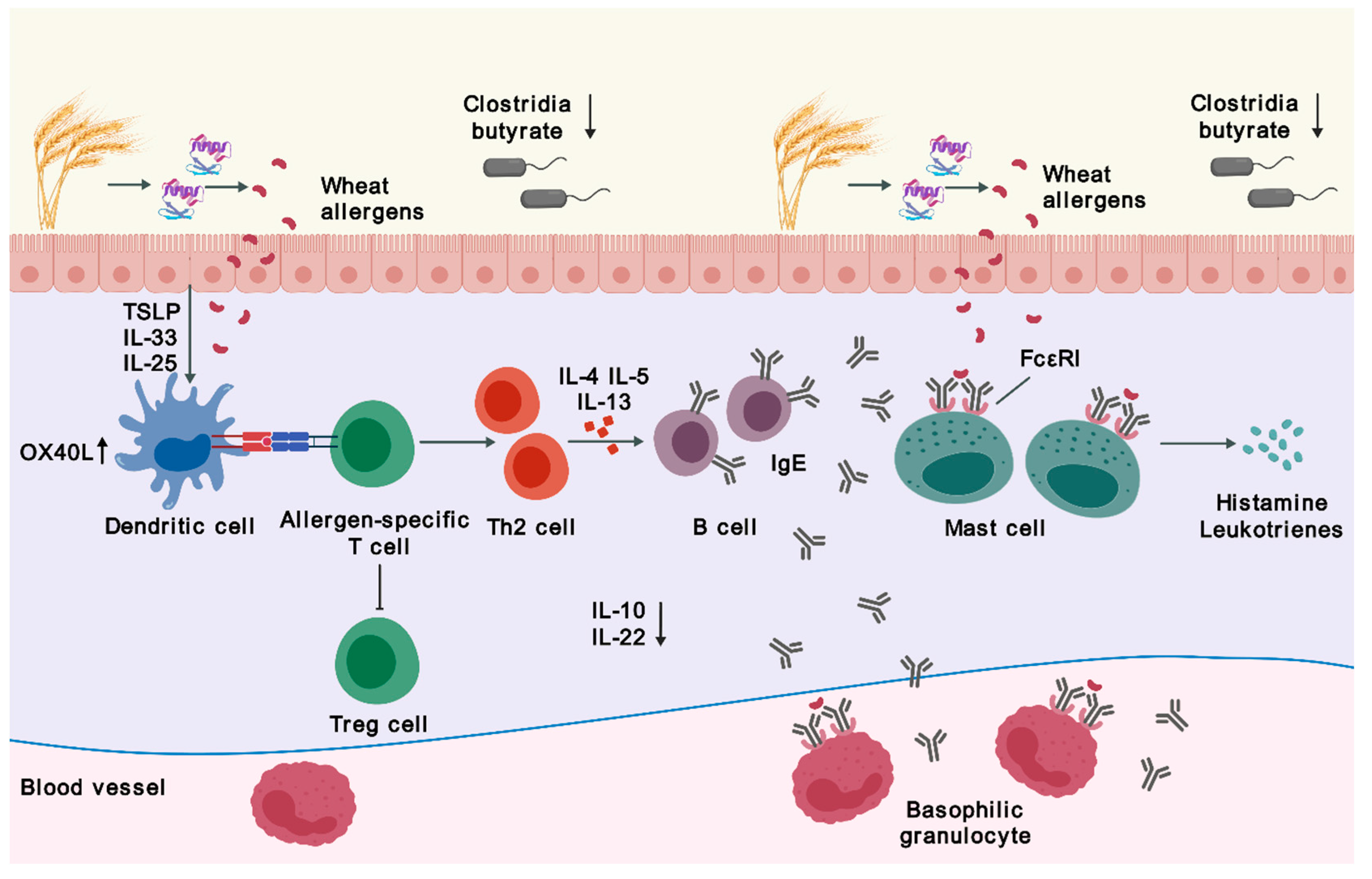 Preprints 106388 g001