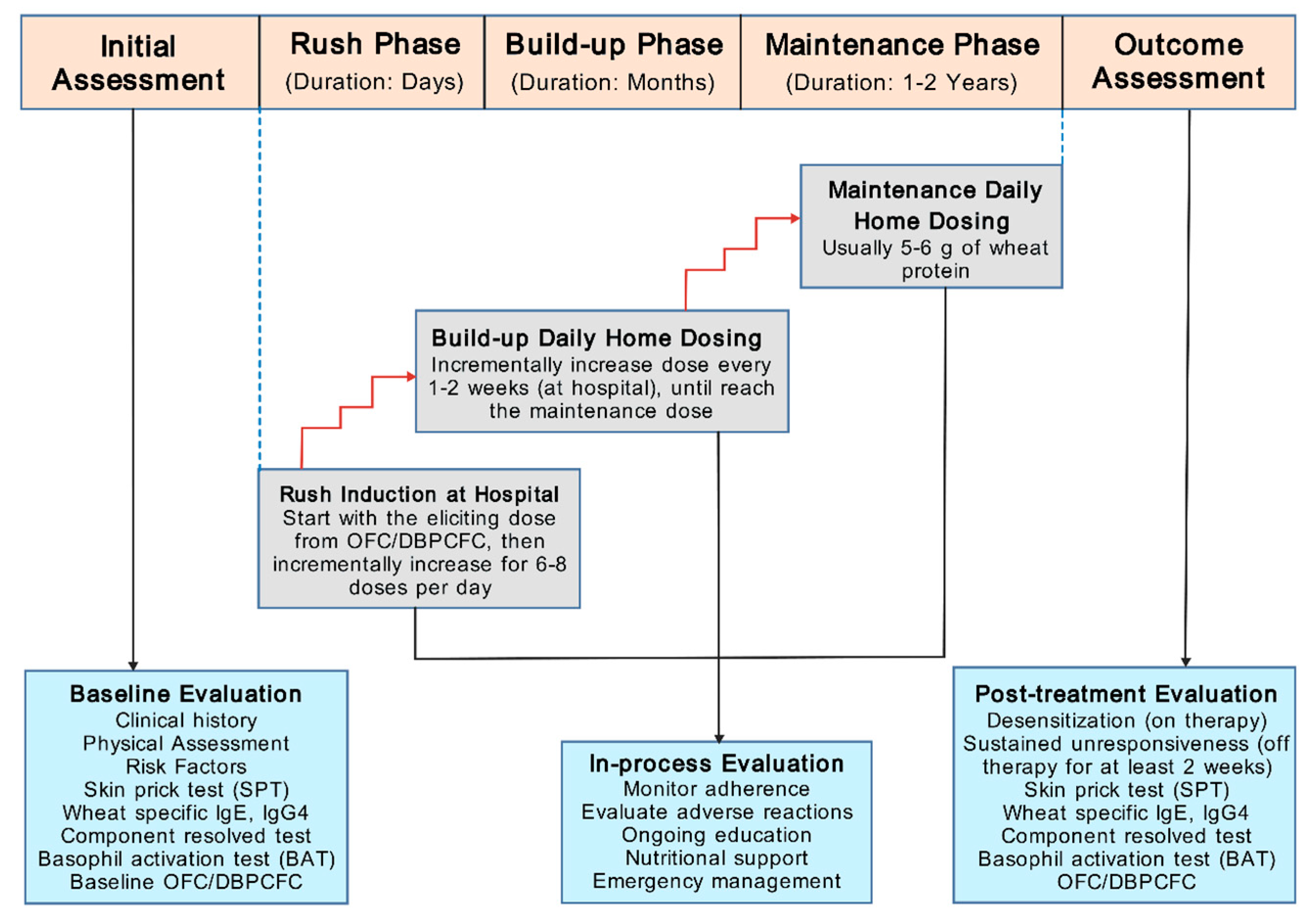 Preprints 106388 g003