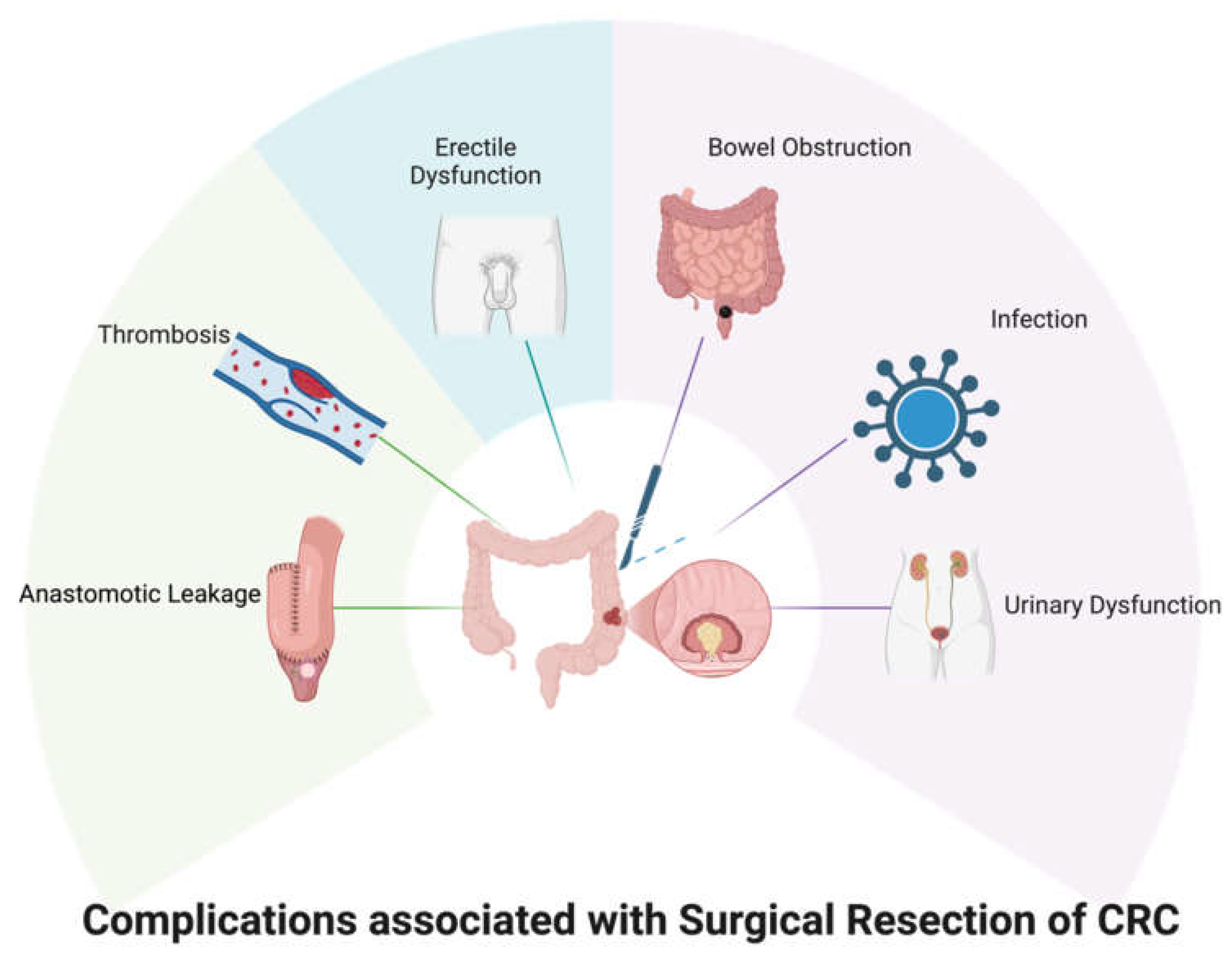 Preprints 159831 g003