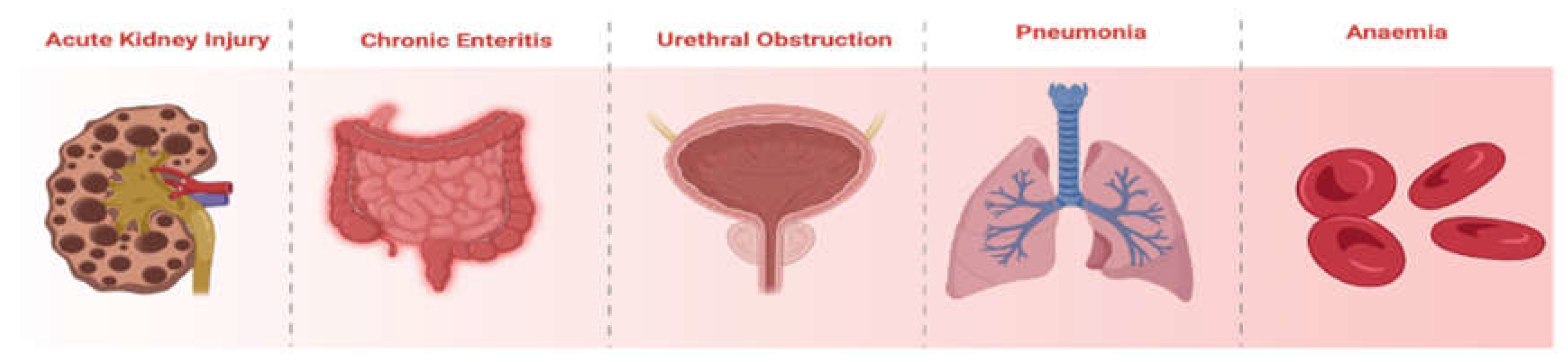 Preprints 159831 g004