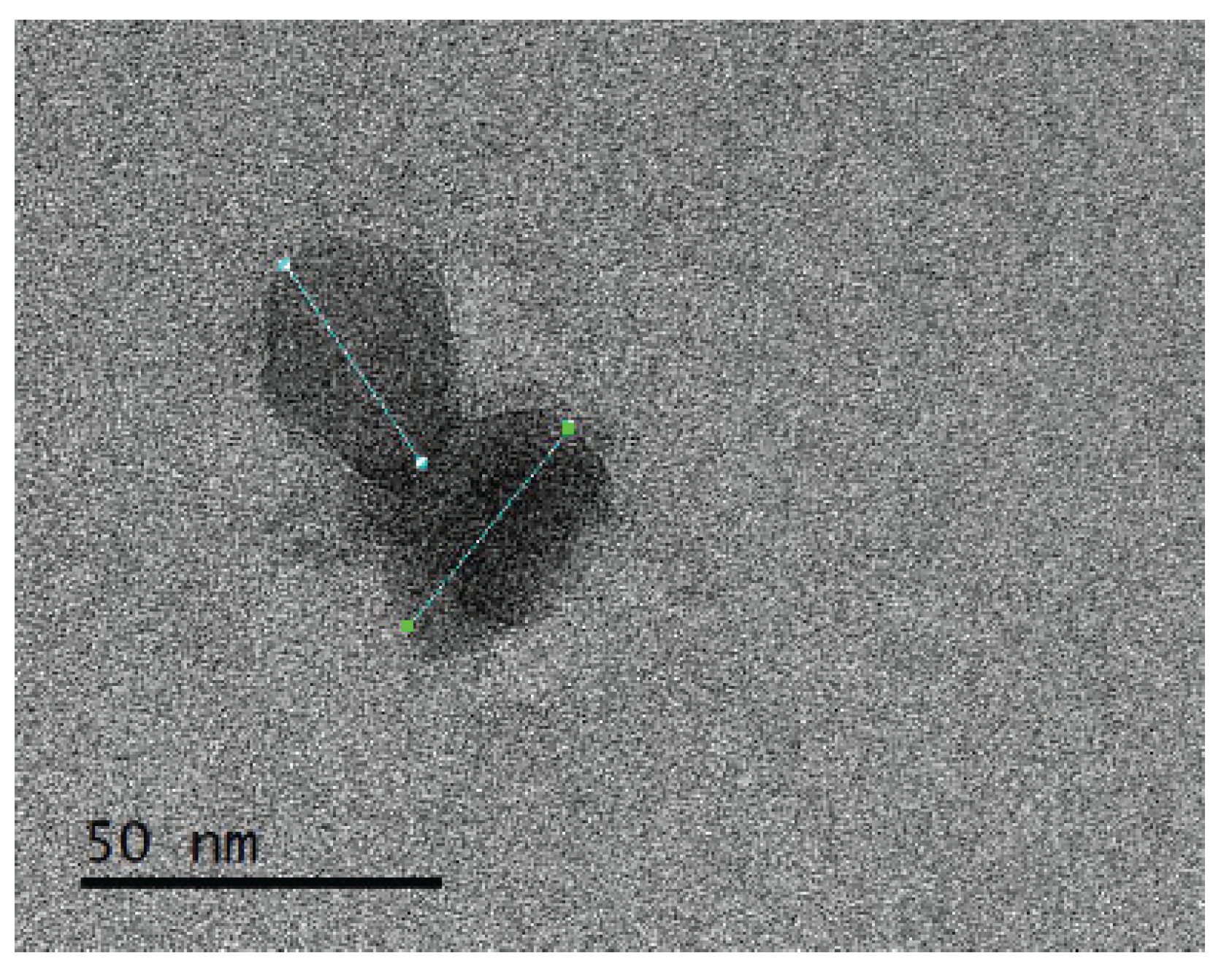 Preprints 206269 g001 Preprints 206269 g001