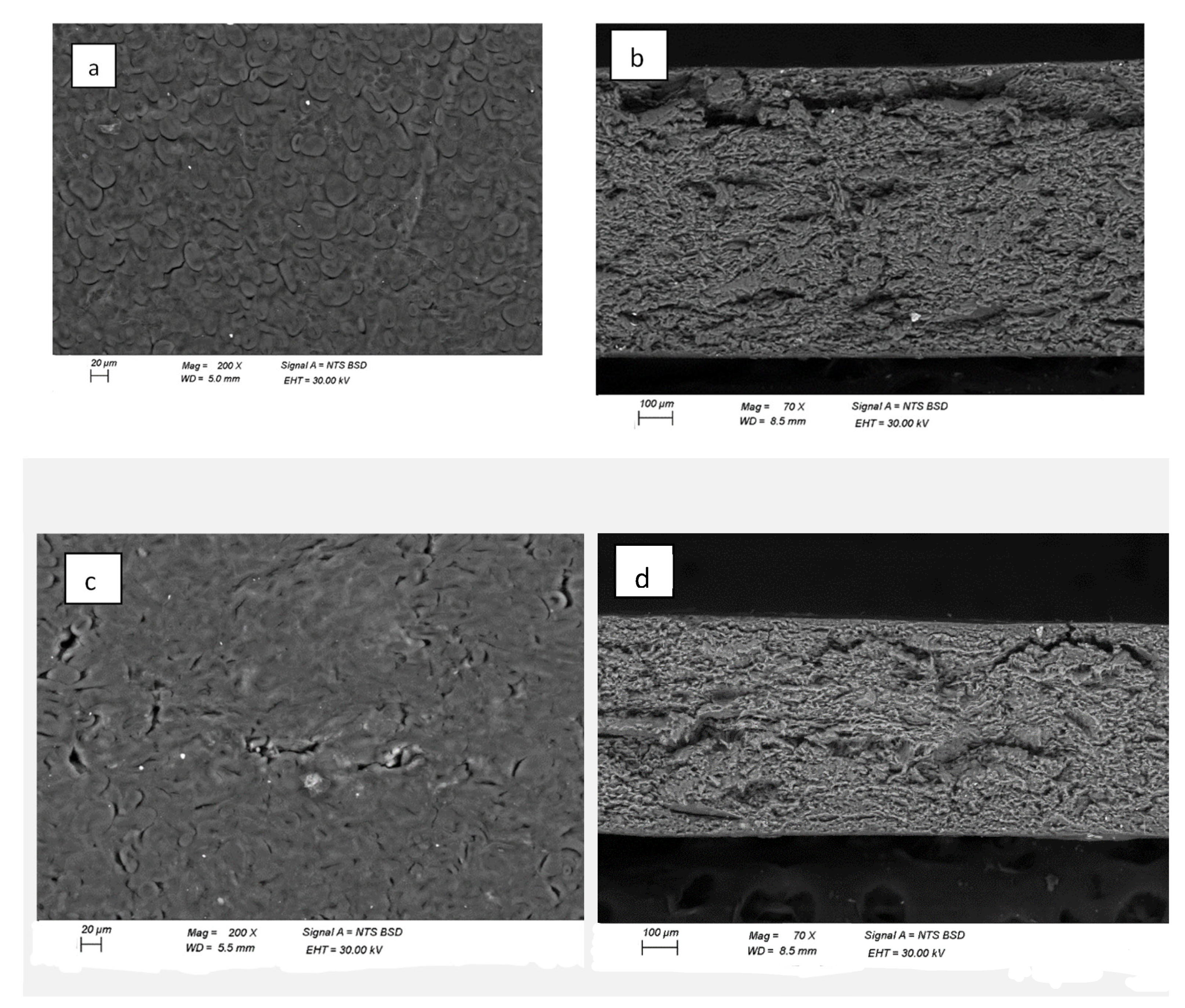 Preprints 206269 g004 Preprints 206269 g004