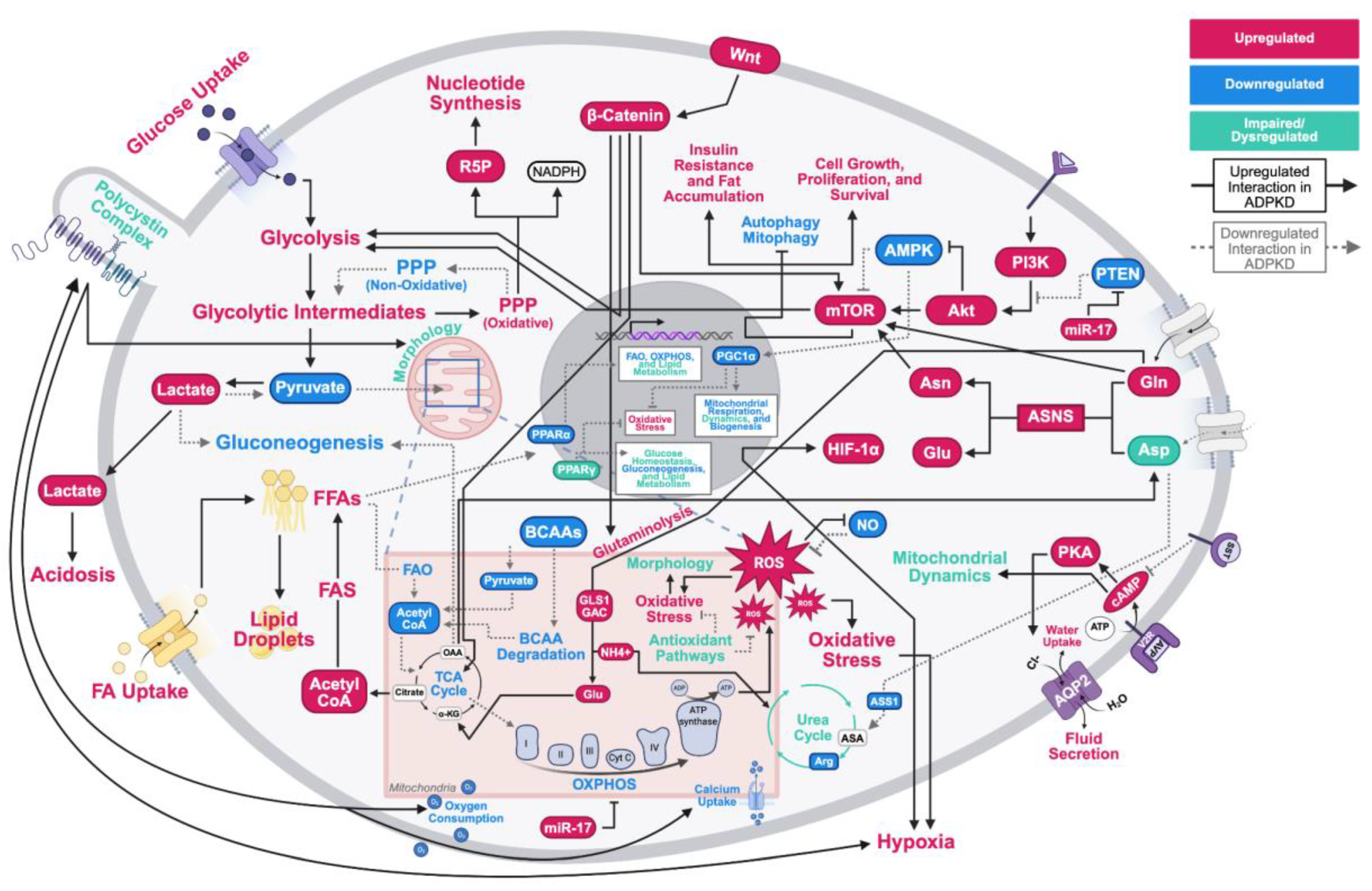 Preprints 190641 g001