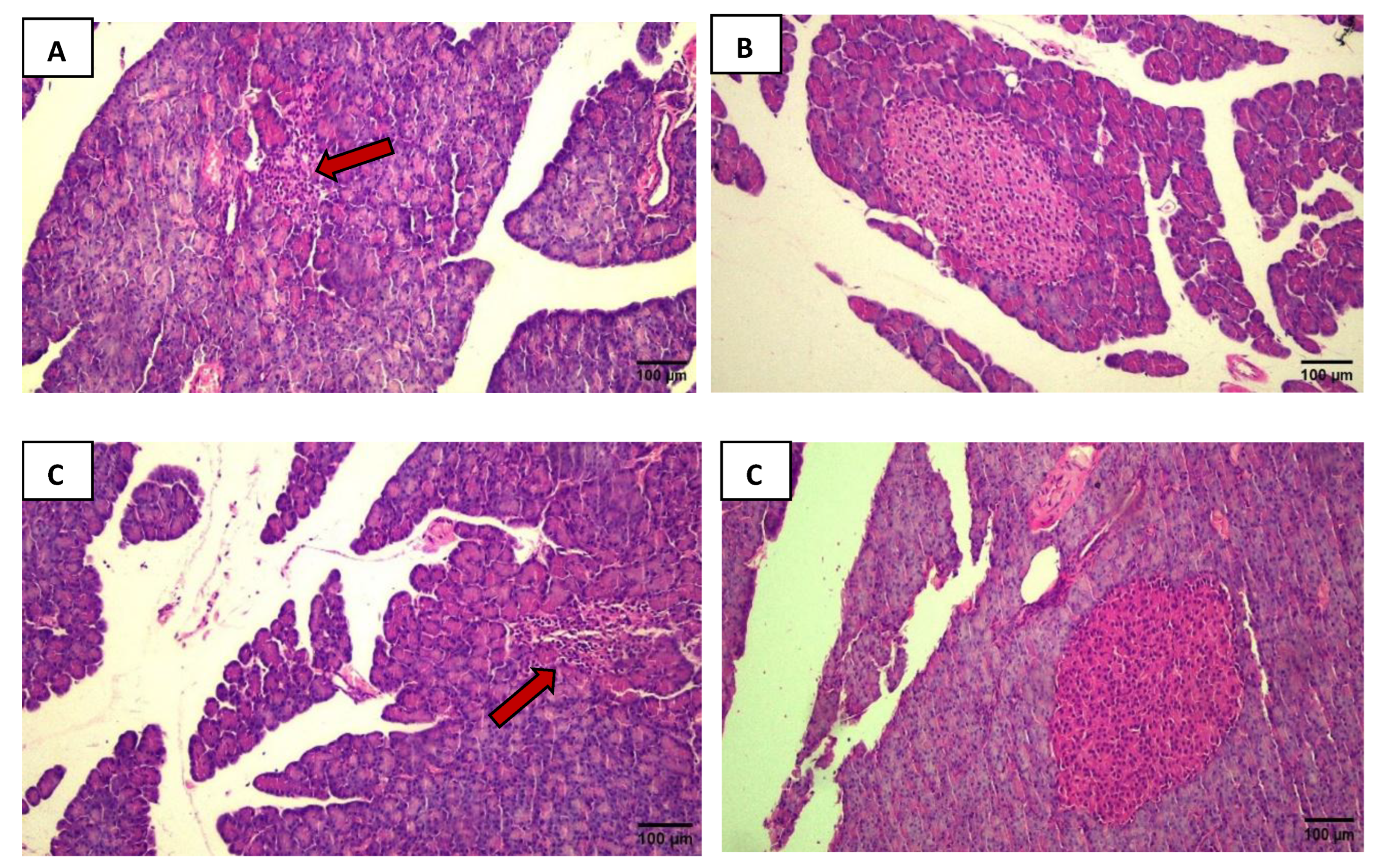 Preprints 193802 g001