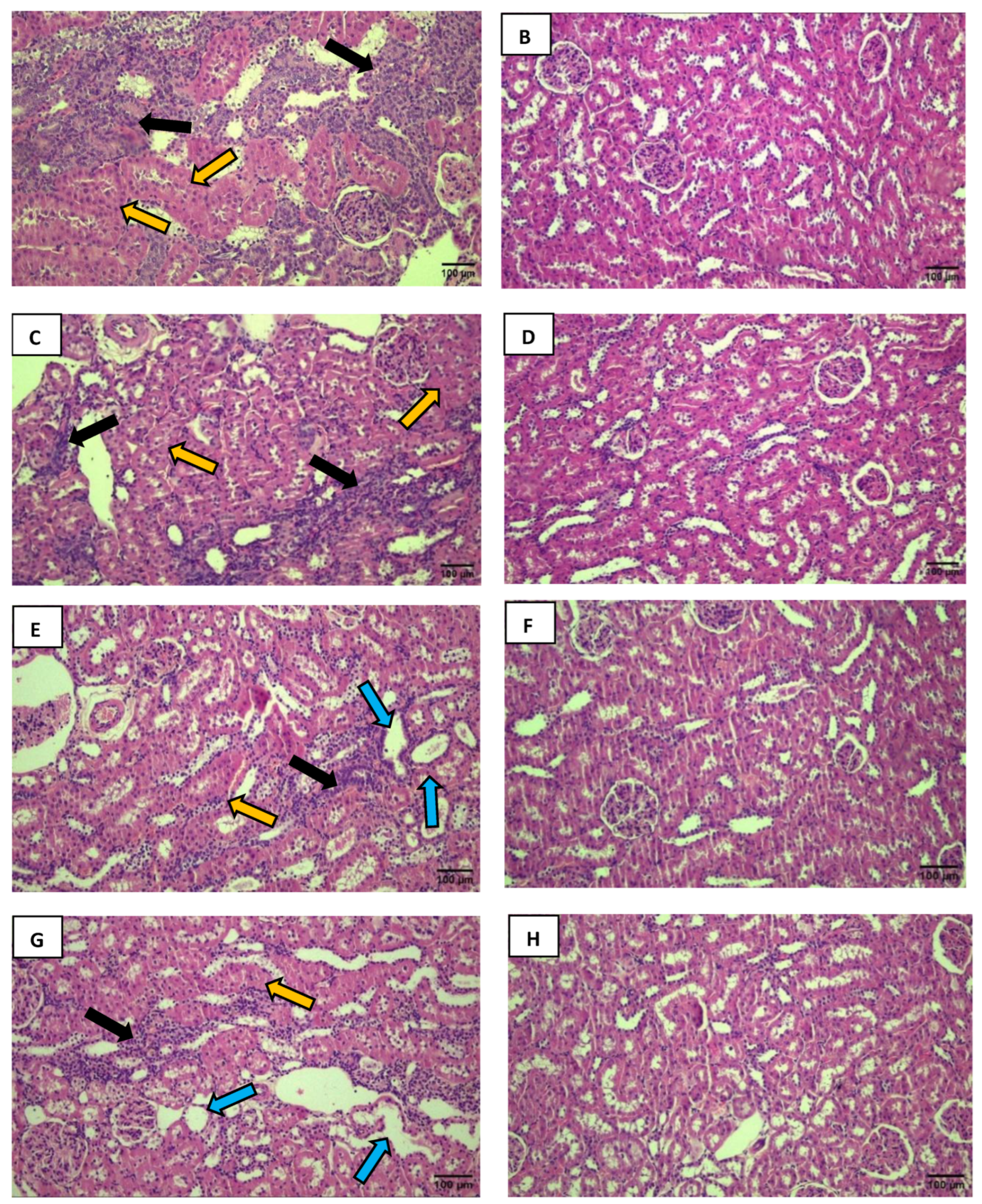 Preprints 193802 g002