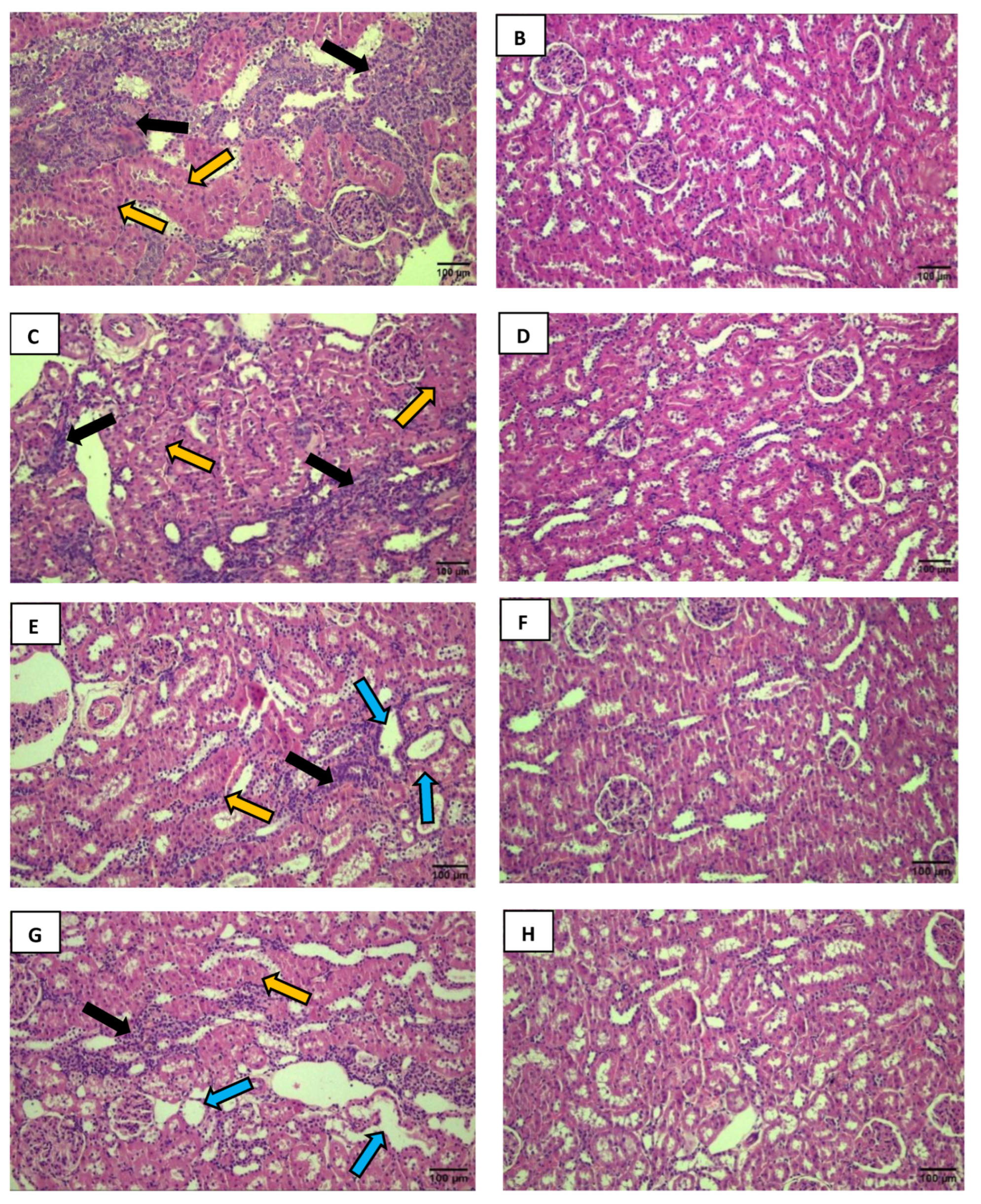 Preprints 193802 g003