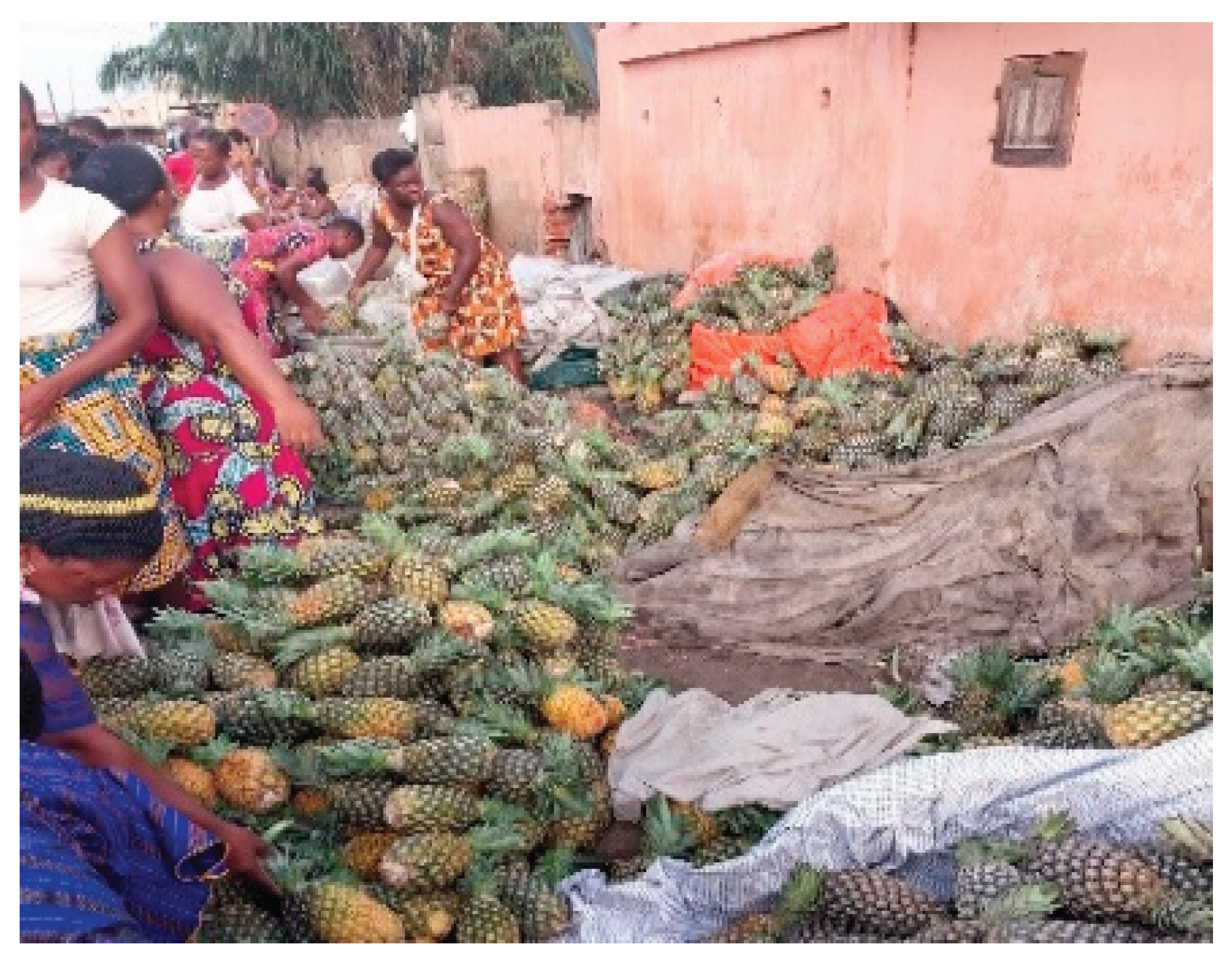 Preprints 162845 g001