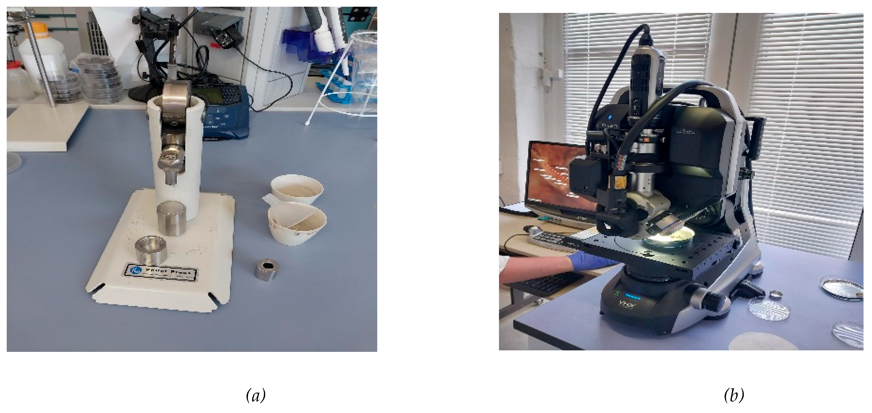 Preprints 162845 g004