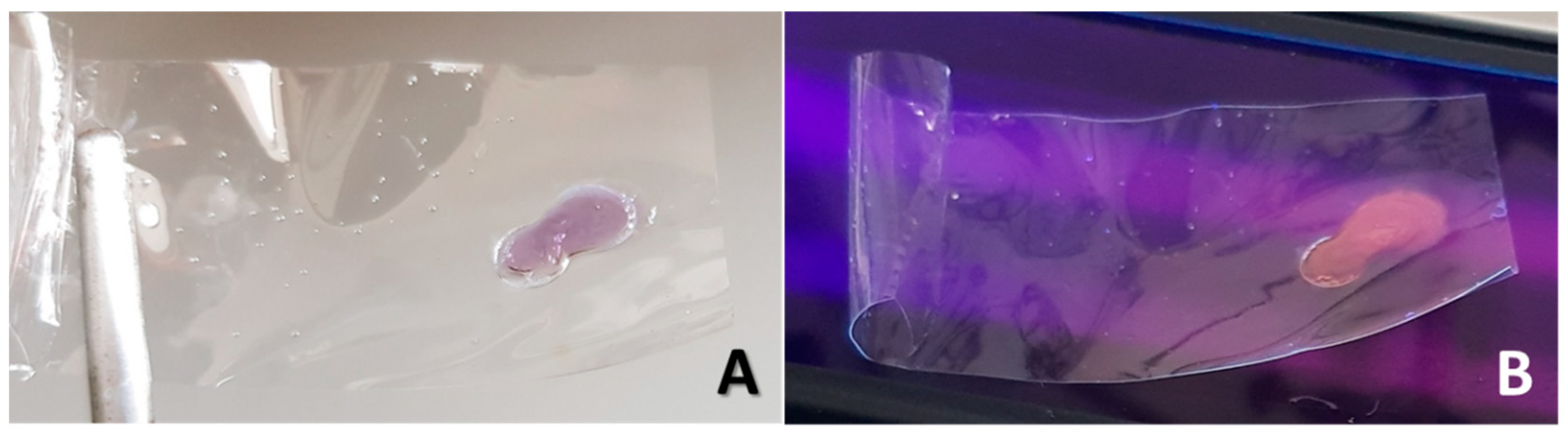Preprints 112144 g002