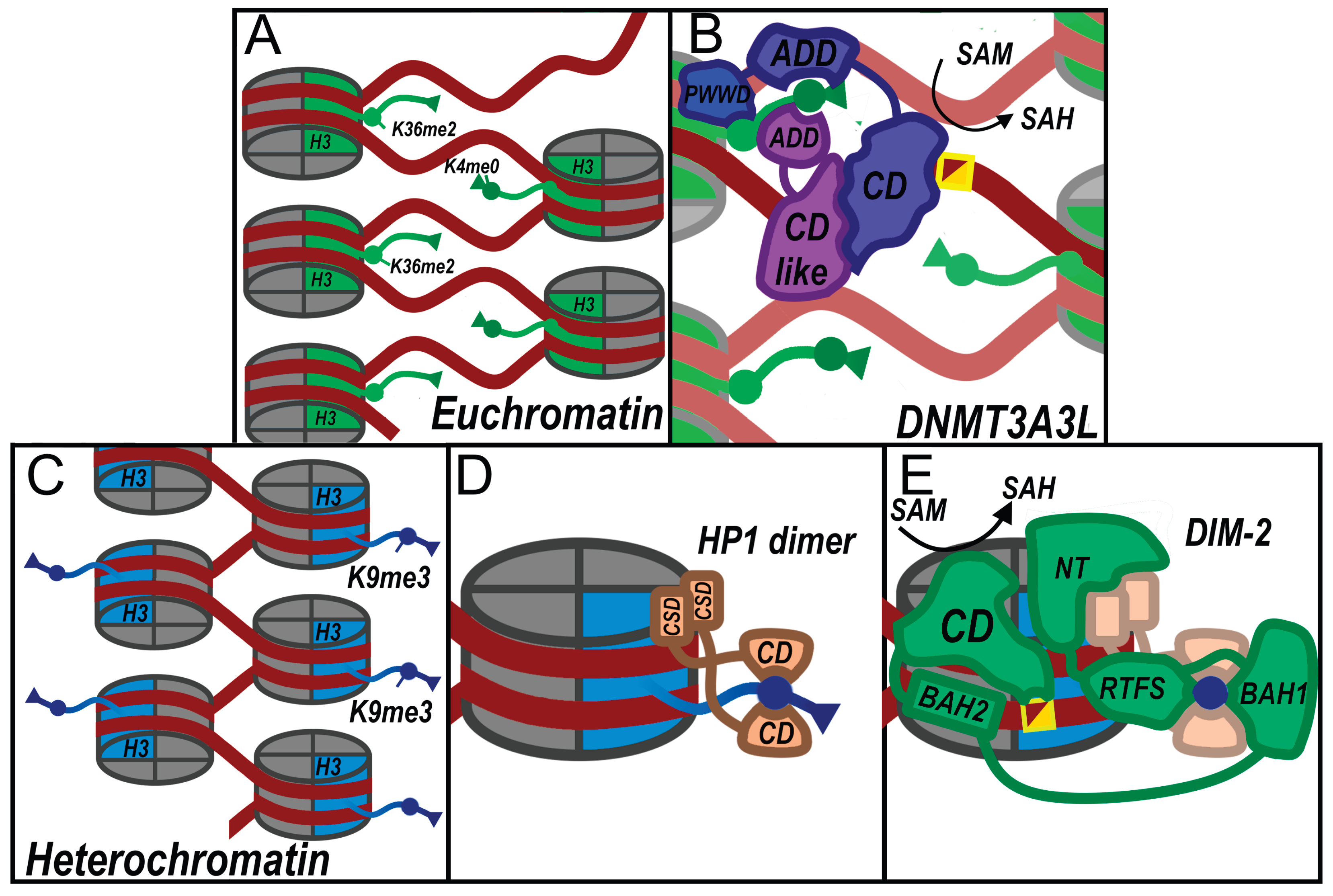 Preprints 208562 g001