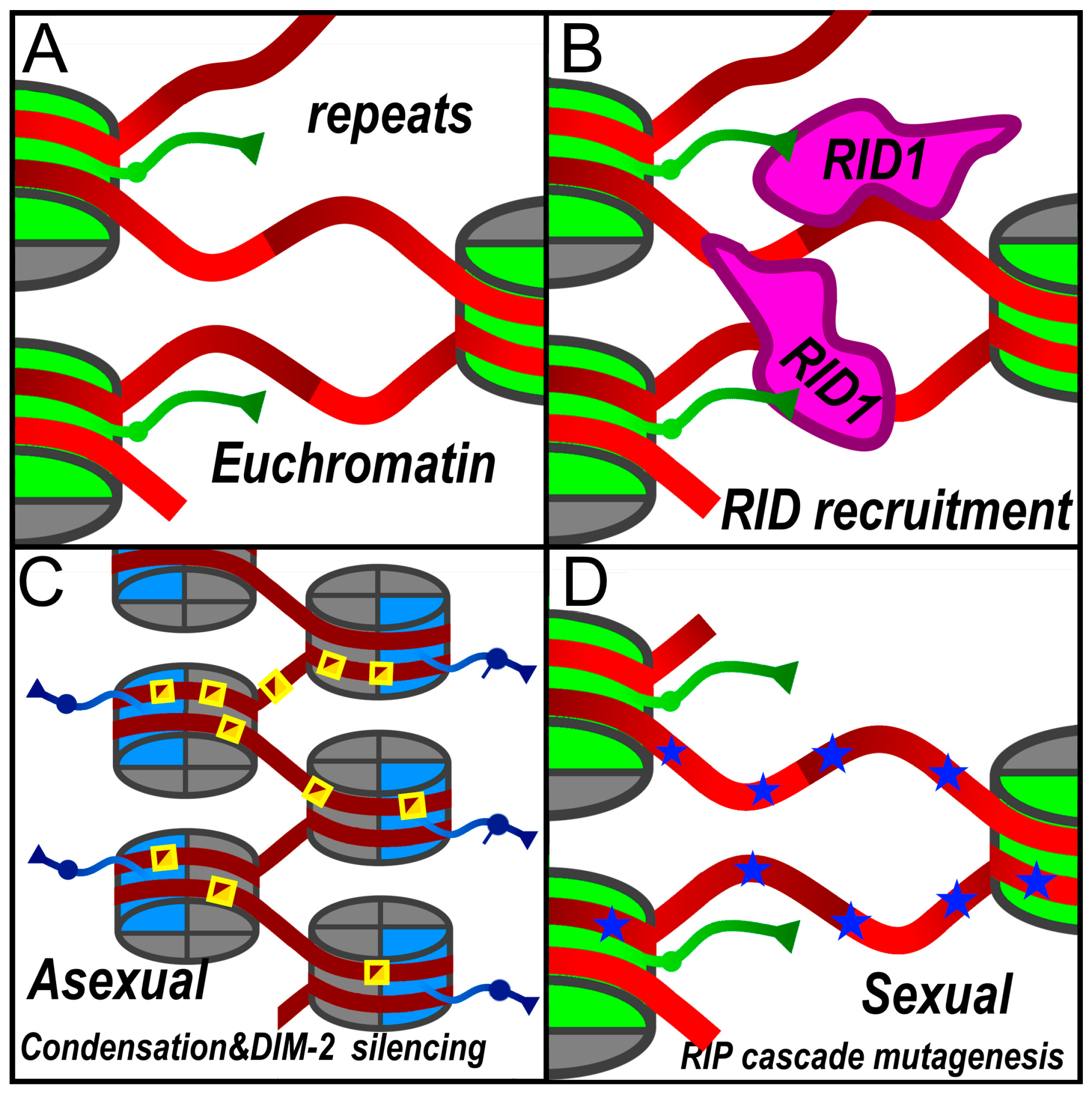 Preprints 208562 g002