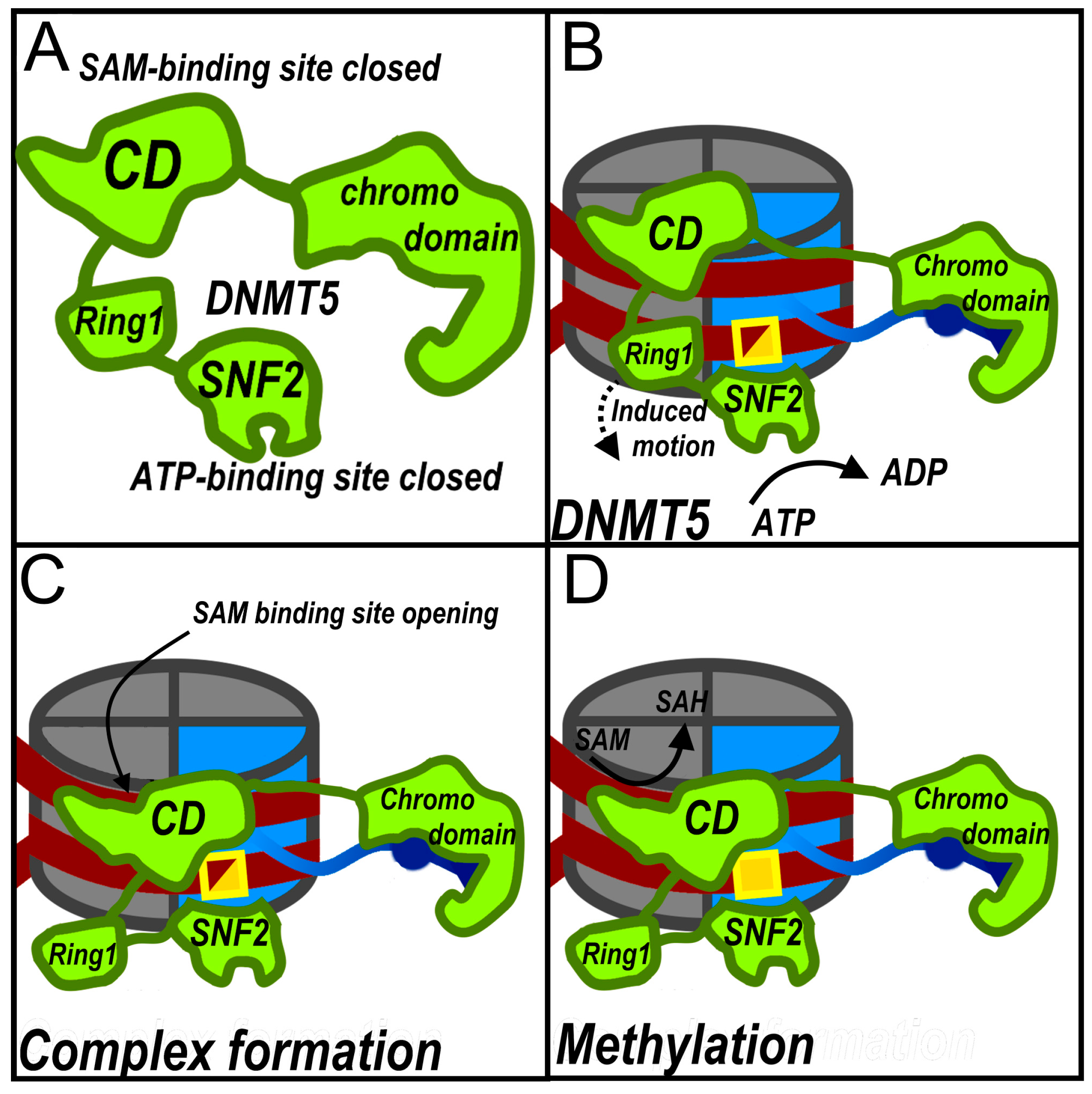 Preprints 208562 g003