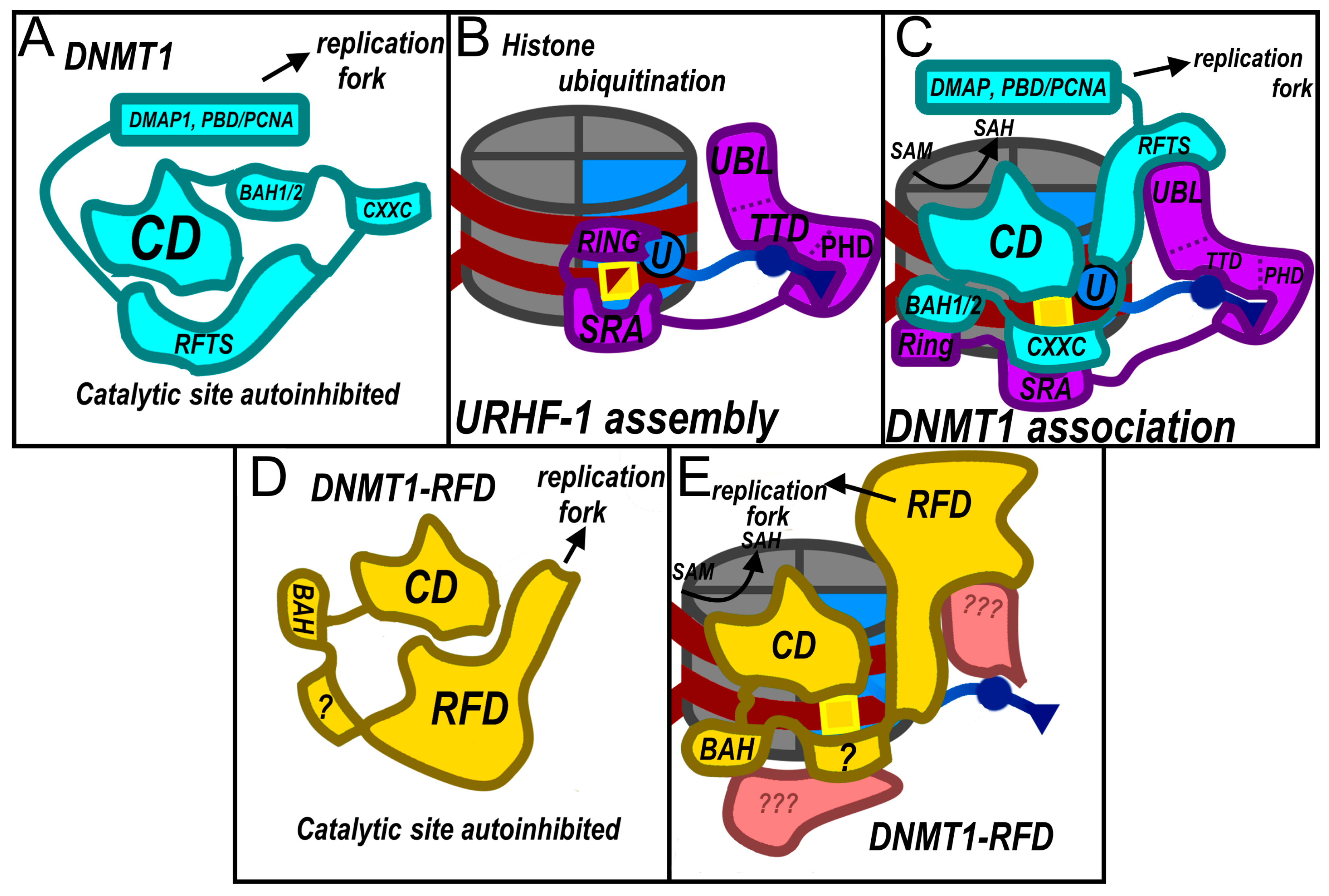 Preprints 208562 g004