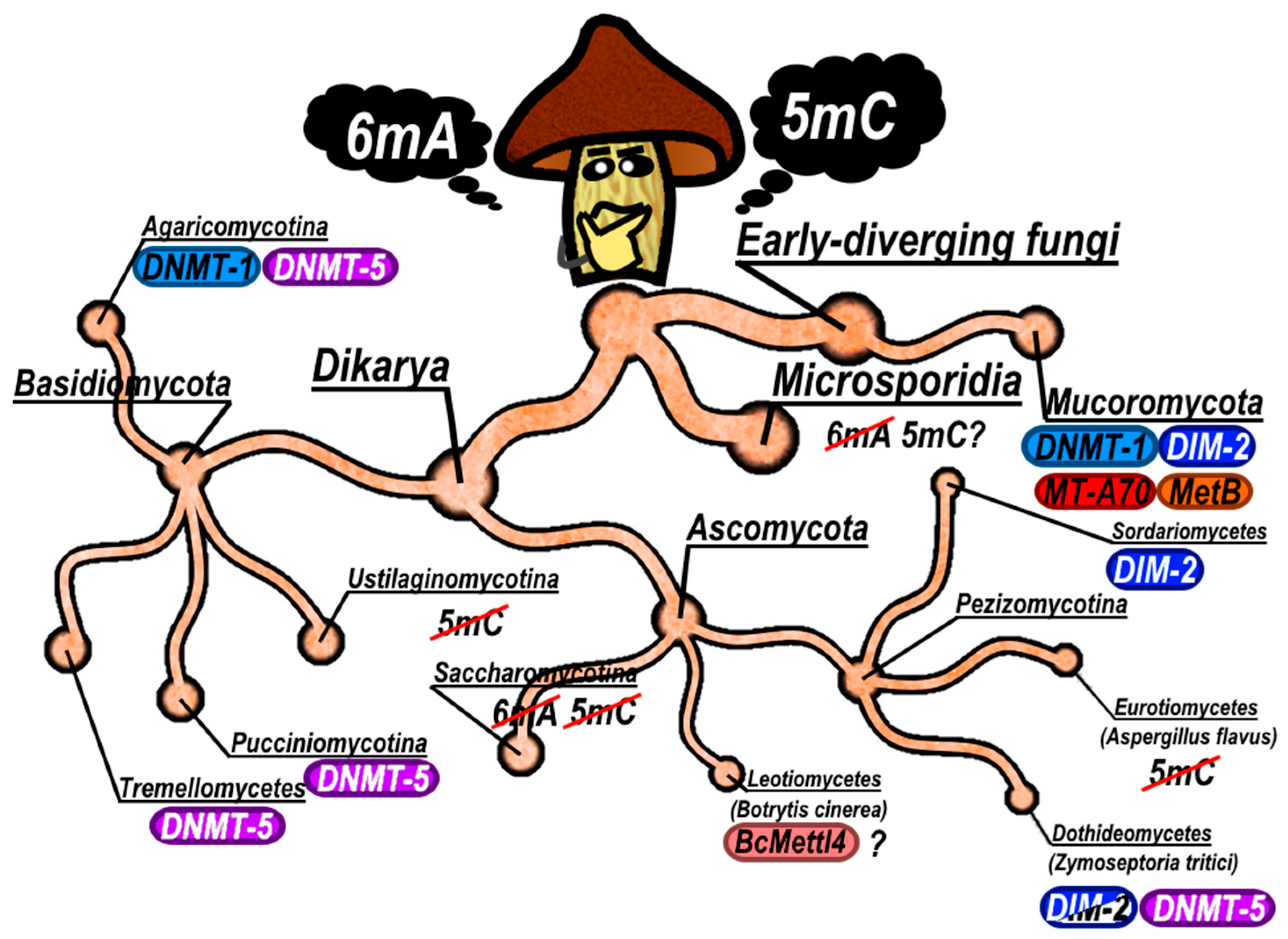 Preprints 208562 g005