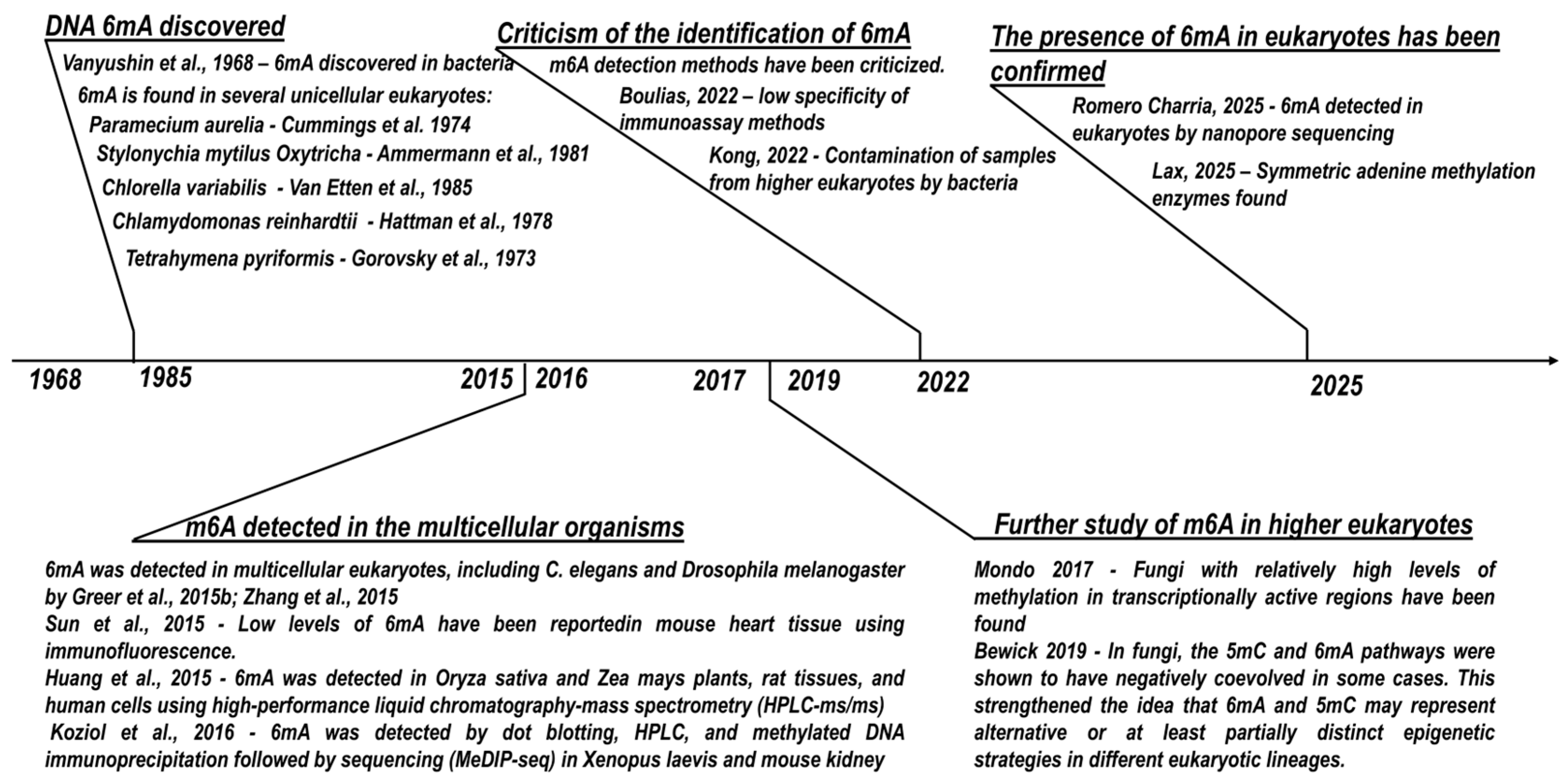 Preprints 208562 g006