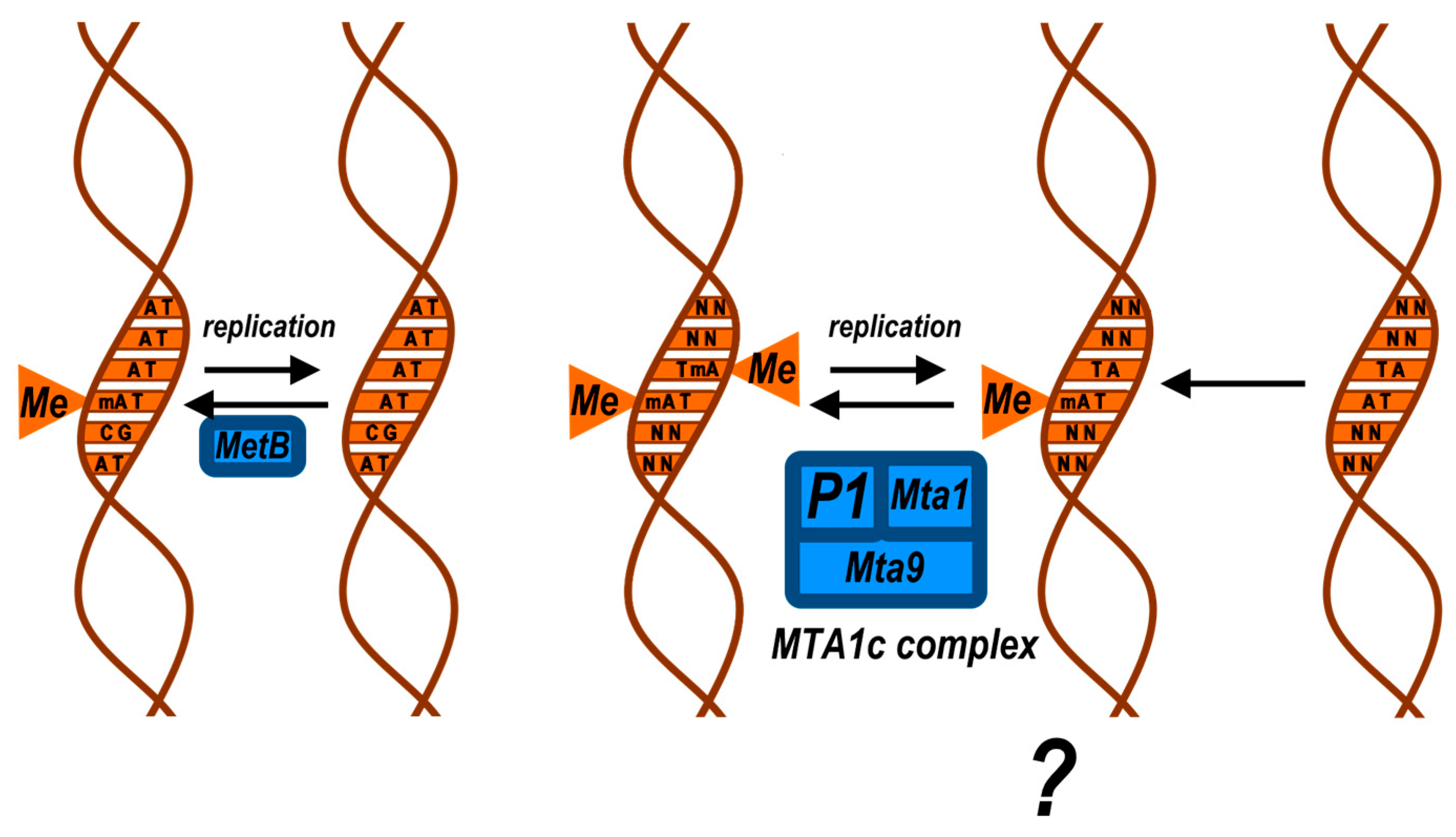 Preprints 208562 g007