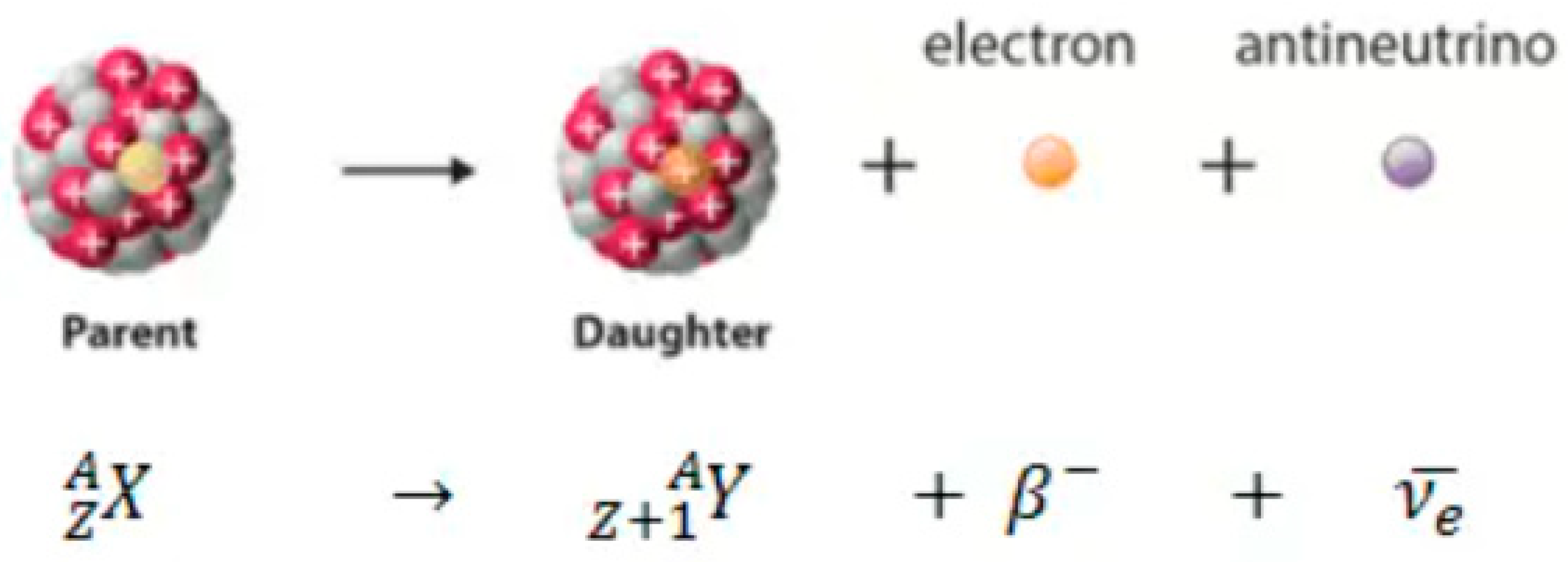 Preprints 89177 g020