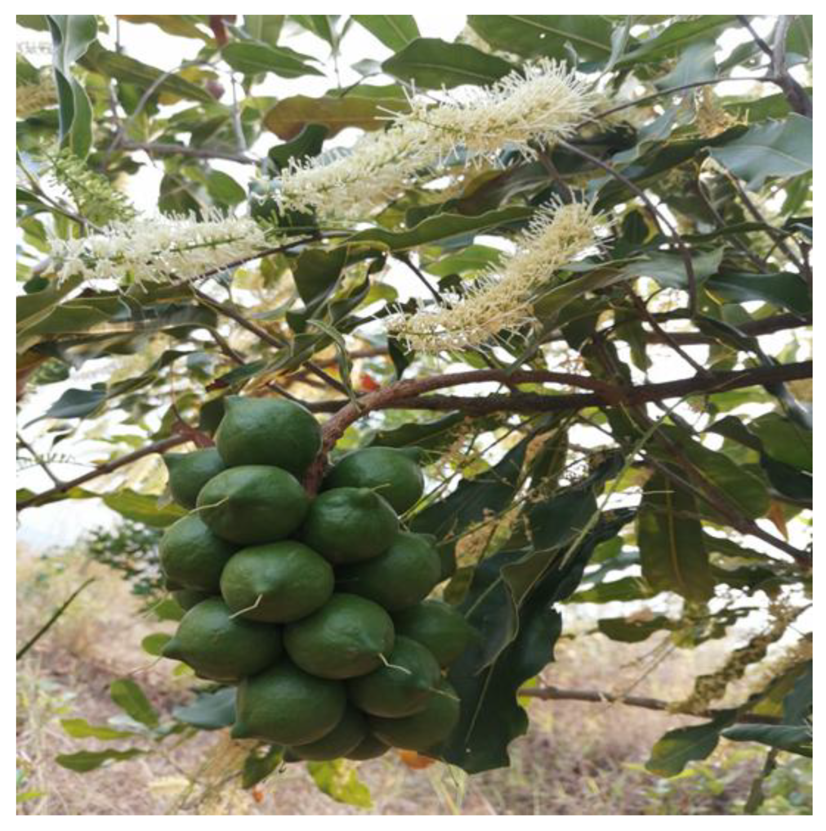 Preprints 166485 g001