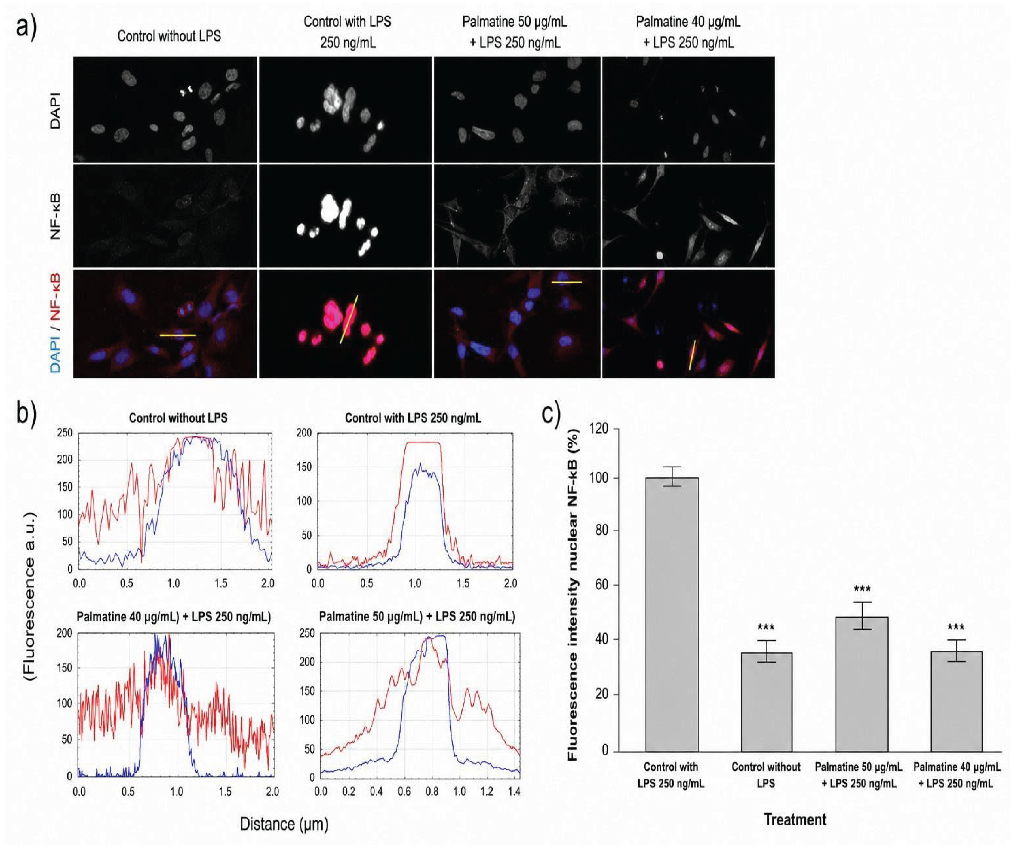 Preprints 232349 g003 Preprints 232349 g003