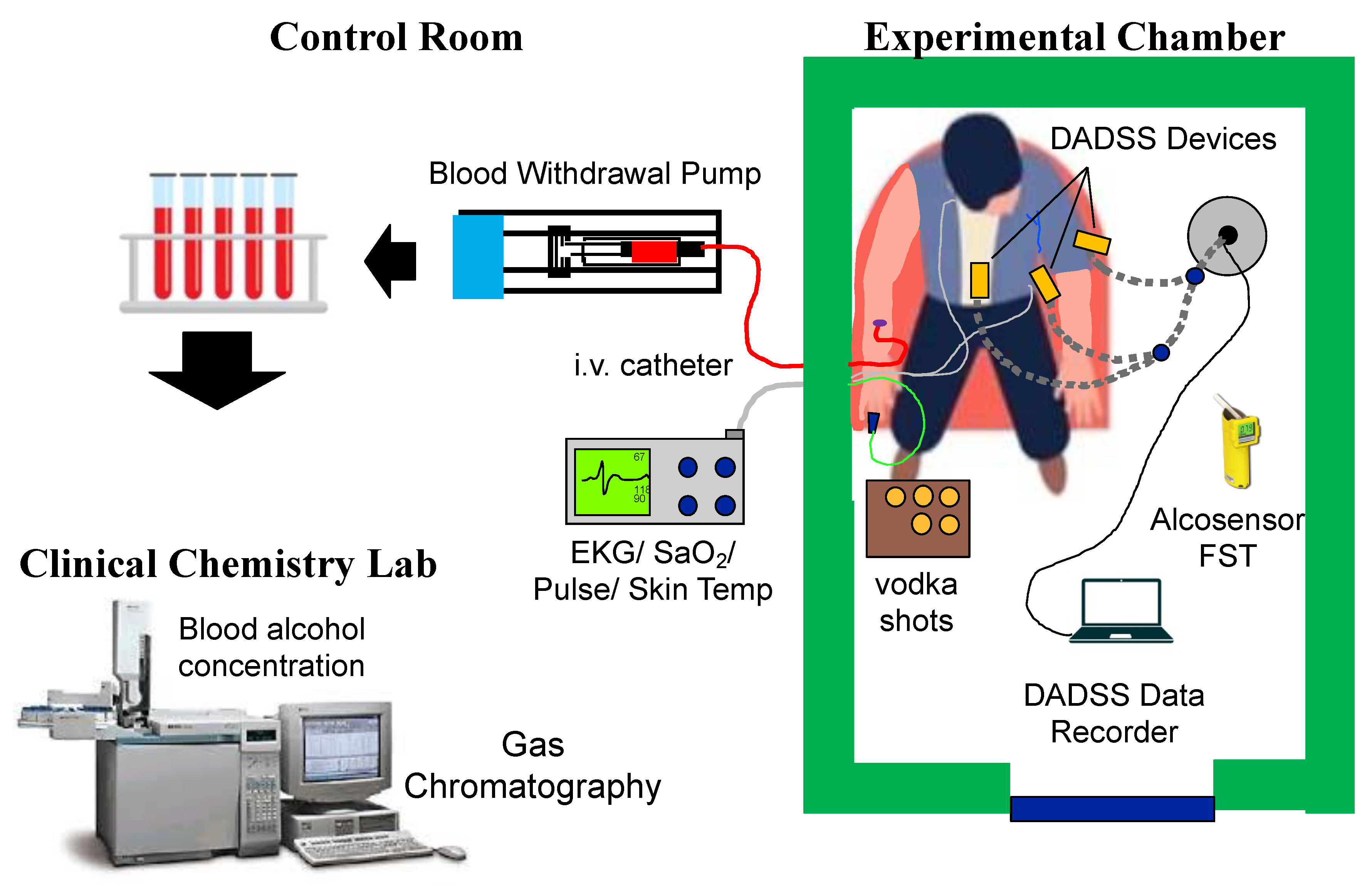 Preprints 204209 g002