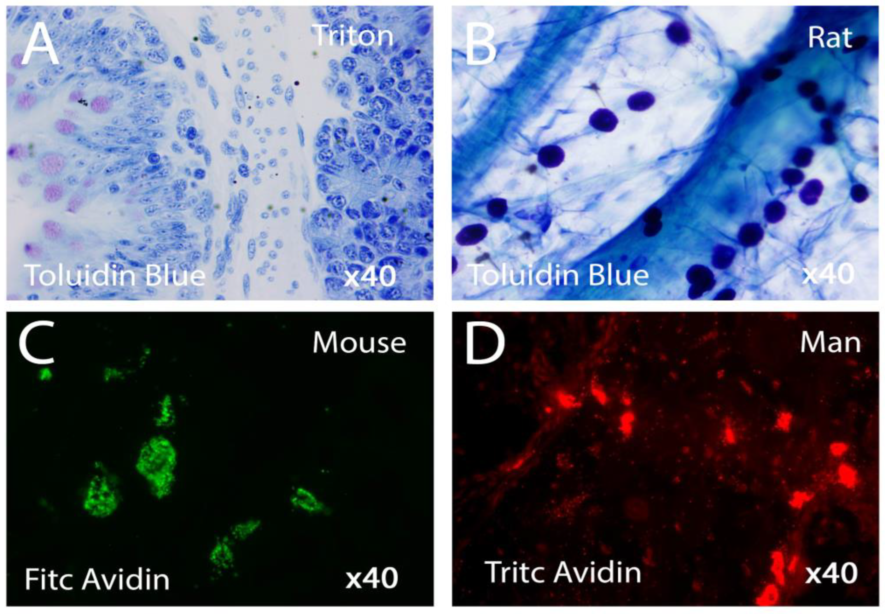 Preprints 150737 g002