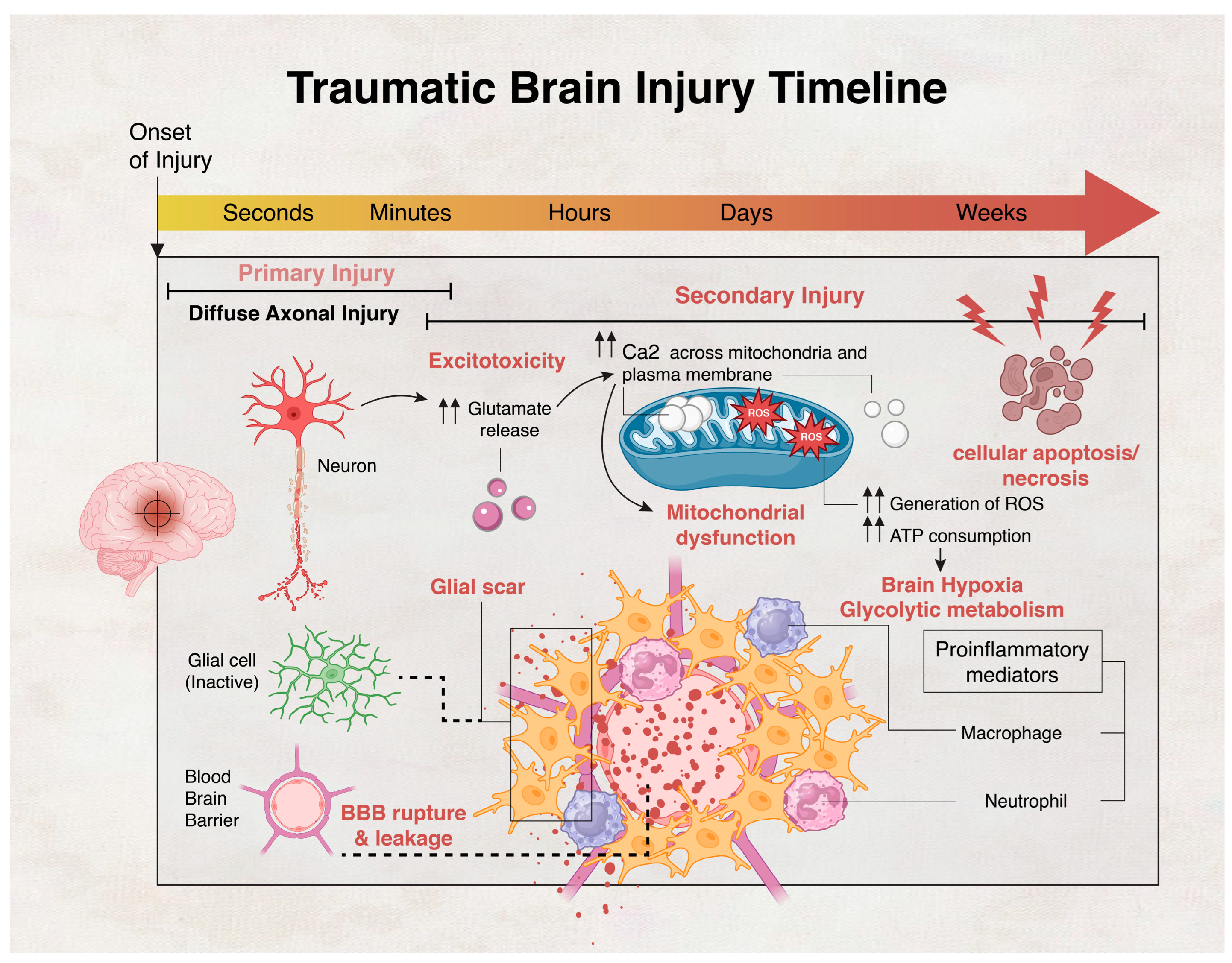 Preprints 88743 g001