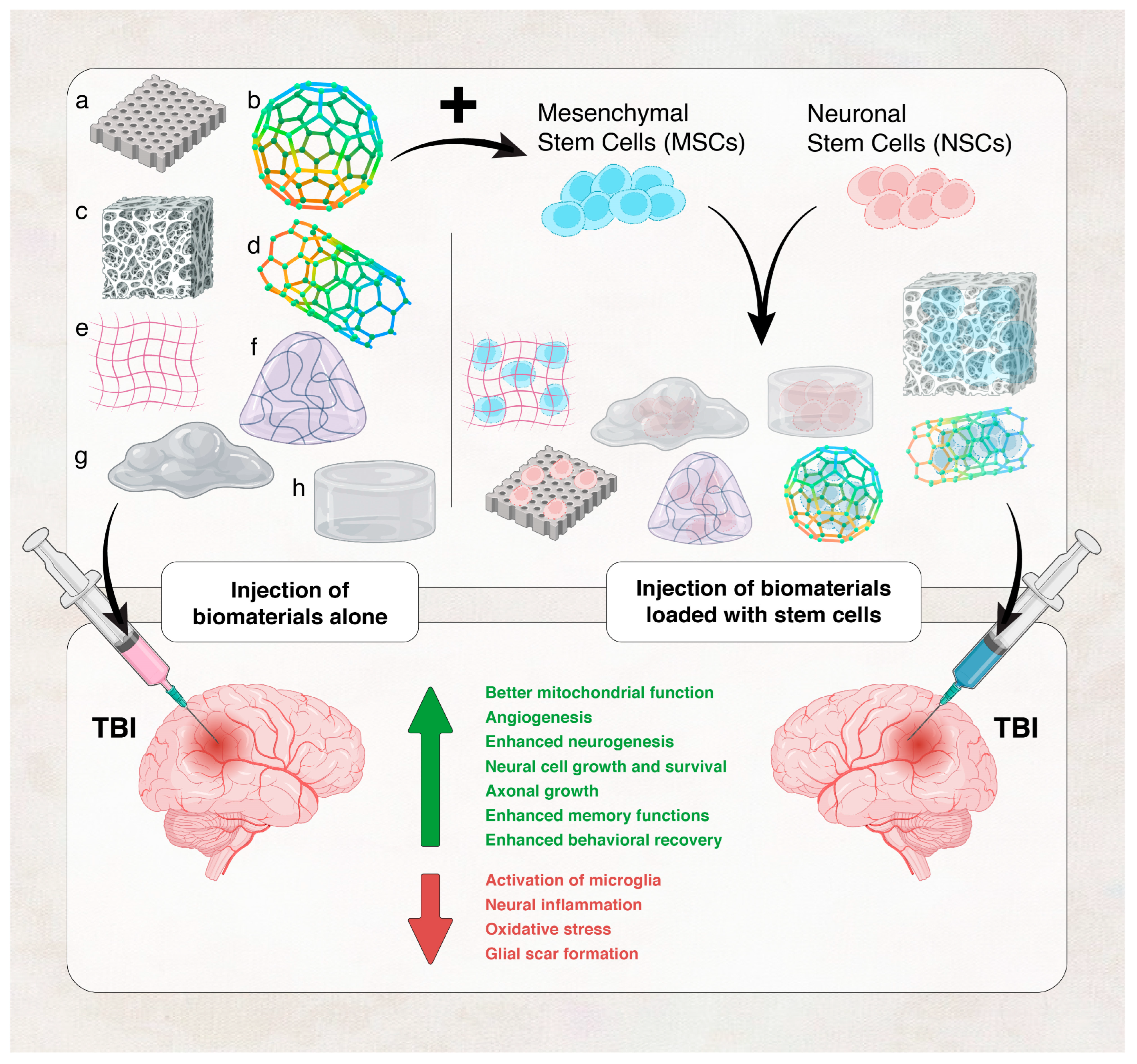 Preprints 88743 g002