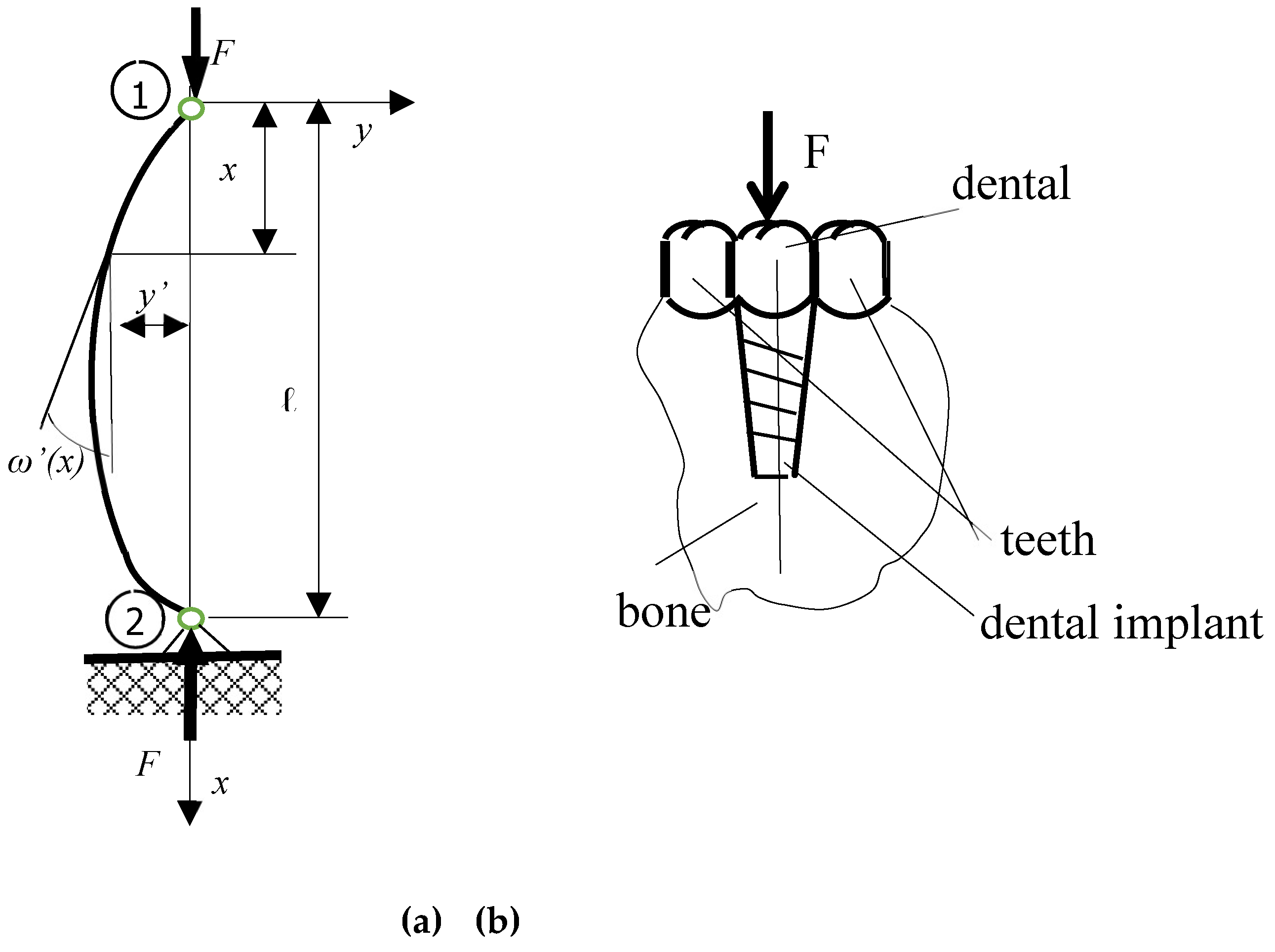 Preprints 148331 g004