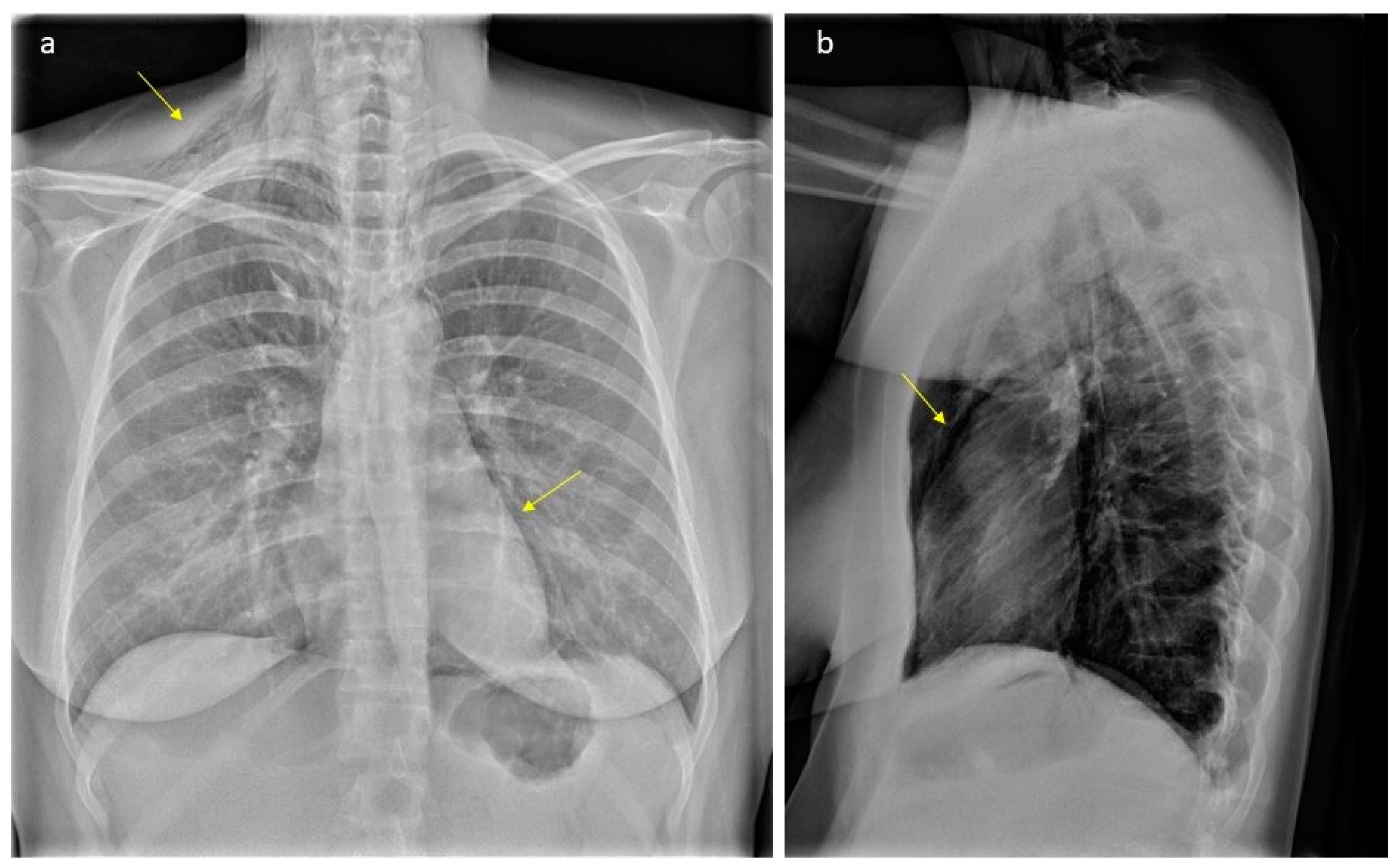Preprints 104445 g001